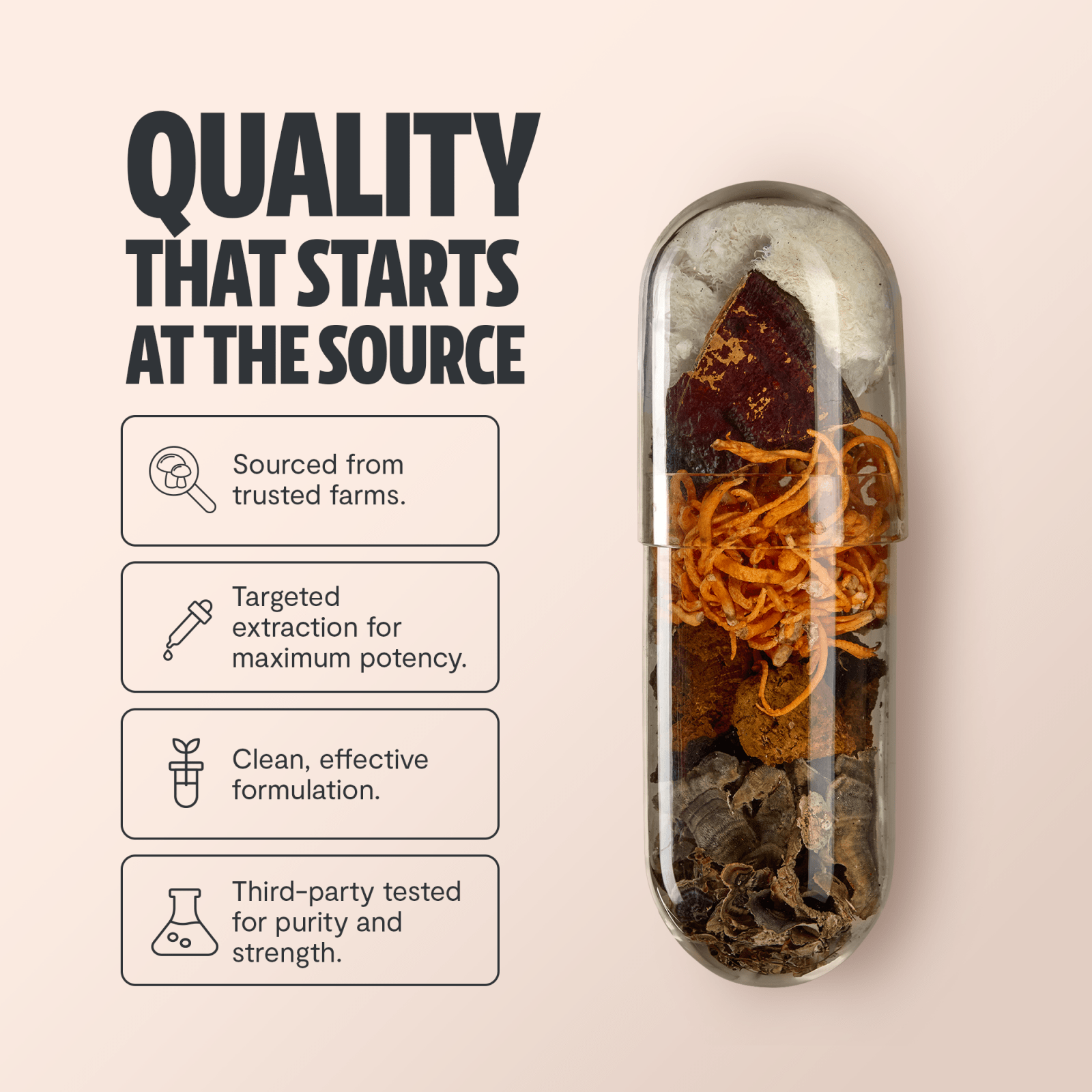 Functional mushroom capsule with plants inside by FreshCap Mushrooms
