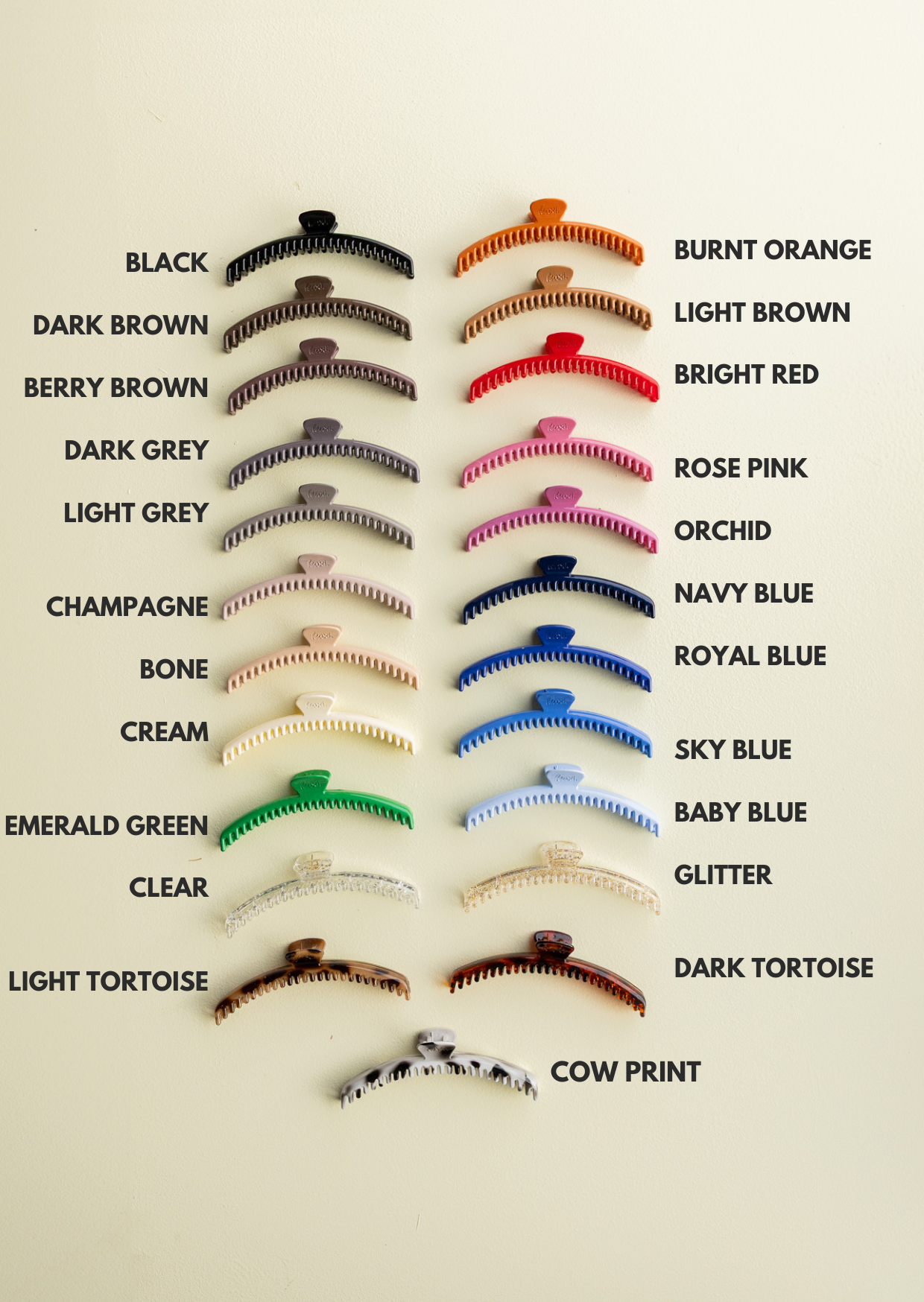 SHINY ORIGINAL HOLD EVERYTHING CLAW