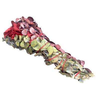 7" Red and Green Eucalyptus with Red Sage Smudge Stick Sacred Crystals