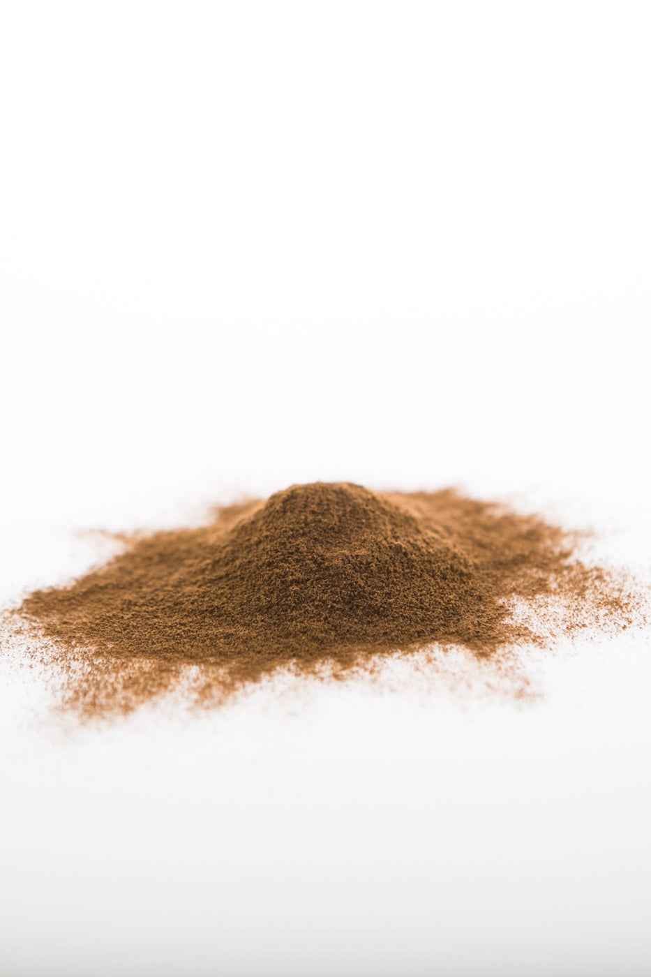 Pile of Sun Potion Chaga powder in reddish brown