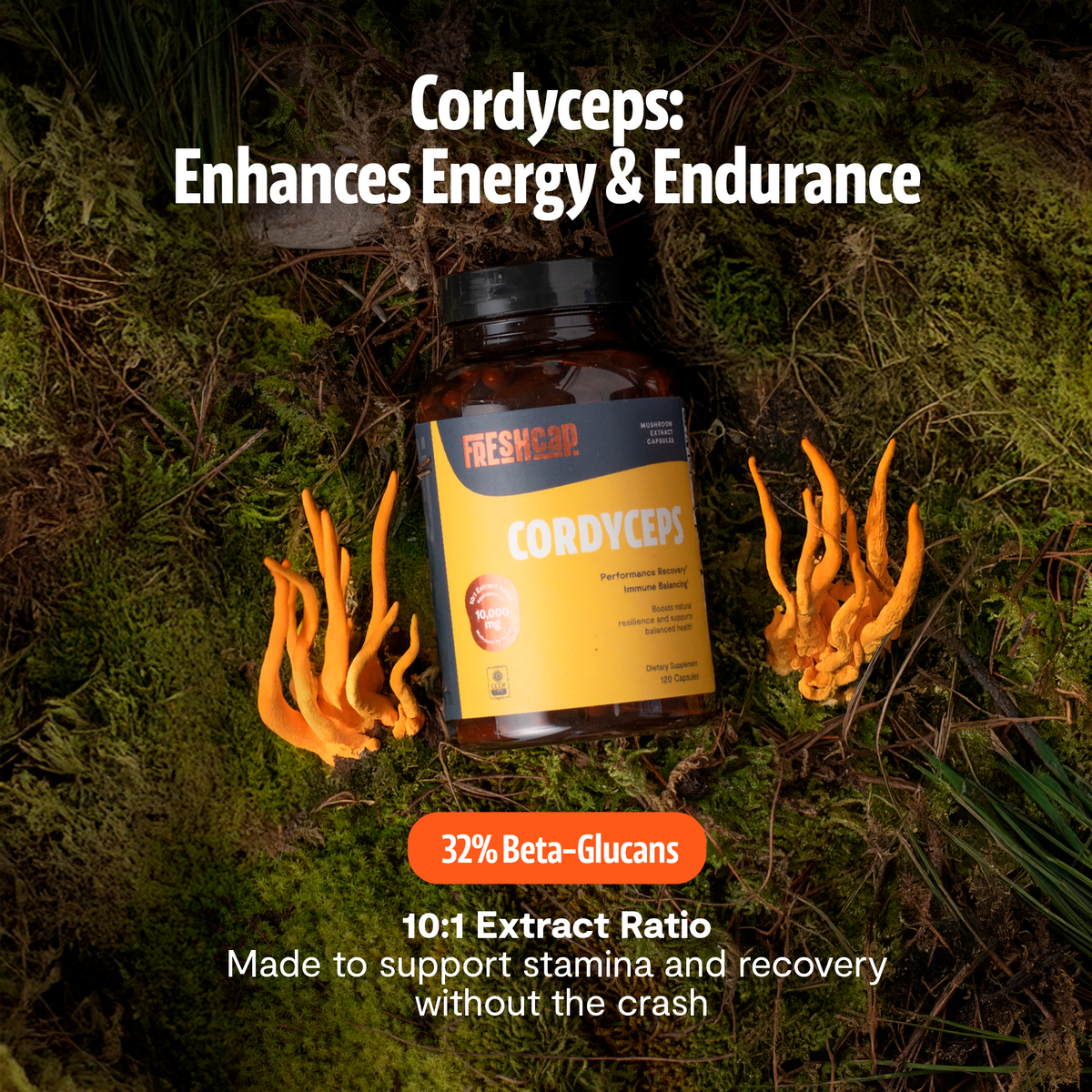 FreshCap Mushrooms Cordyceps Capsules on moss: enhances energy and endurance, 32% beta-glucans, 10:1 extract ratio