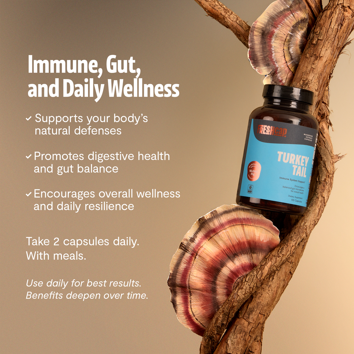 FreshCap Mushrooms Turkey Tail Capsules on a tree branch: immune, gut and daily wellness, take 2 capsules daily with meals