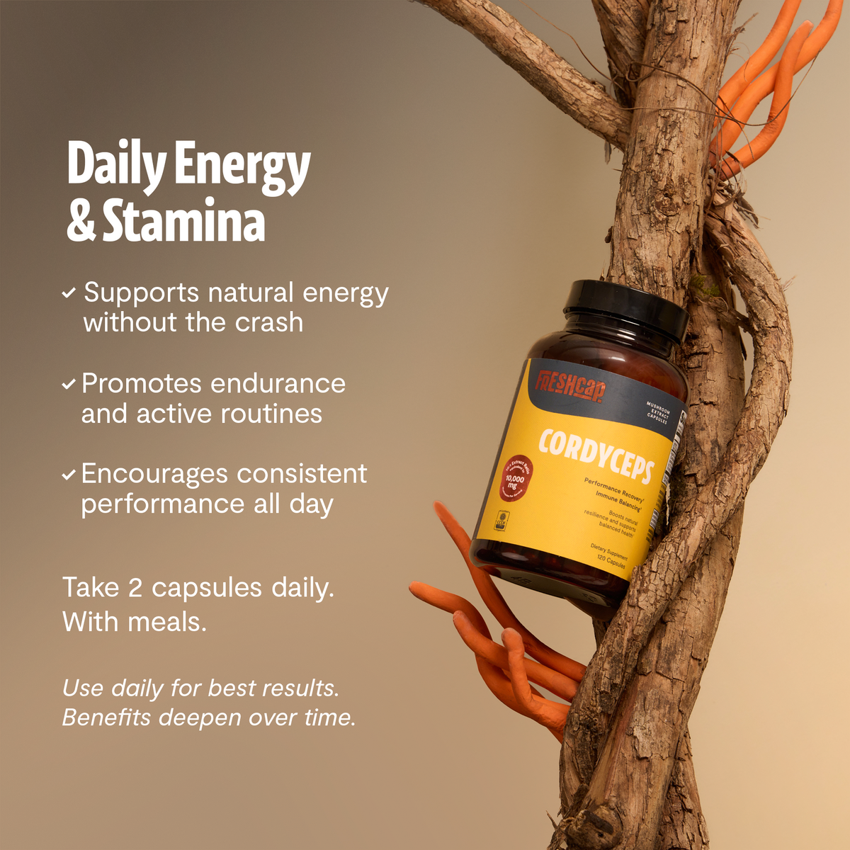 FreshCap Mushrooms Cordyceps Capsules for daily energy and stamina: take 2 capsules daily with meals