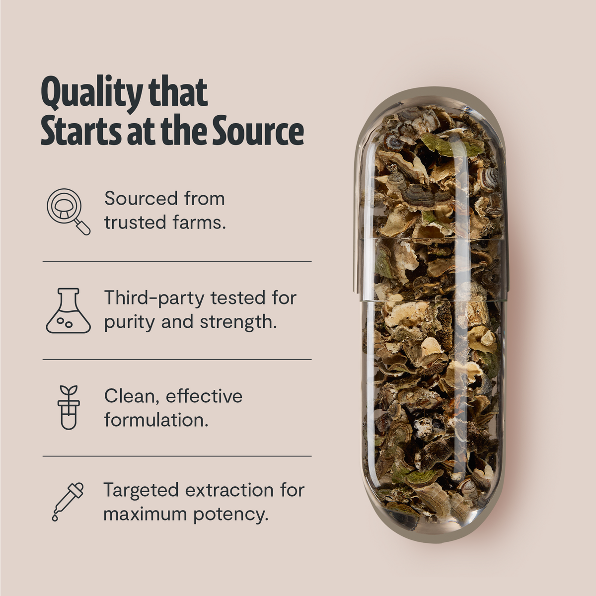 FreshCap Mushrooms Turkey Tail Capsules: quality starts at the source, with turkey tail in a clear capsule, tested, 2nd view
