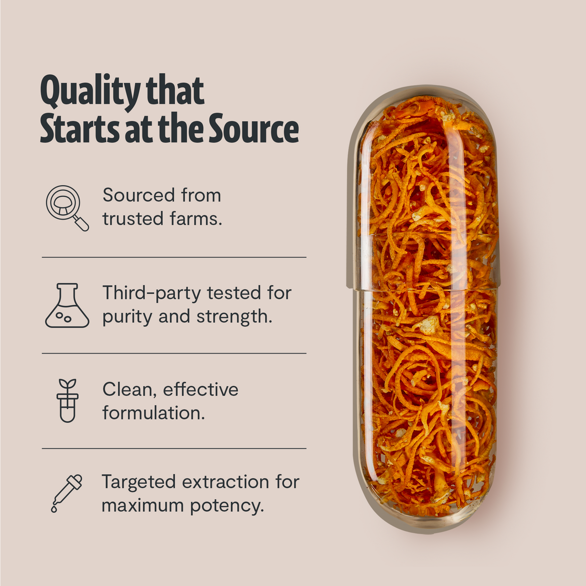 FreshCap Mushrooms Cordyceps Capsules: quality starts at the source, with cordyceps in a clear capsule, third-party tested