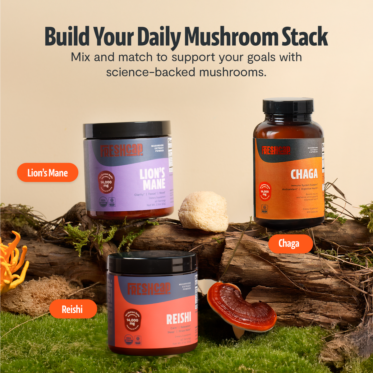 Build your daily mushroom stack: FreshCap Mushrooms Chaga Capsules with Lion's Mane and Reishi