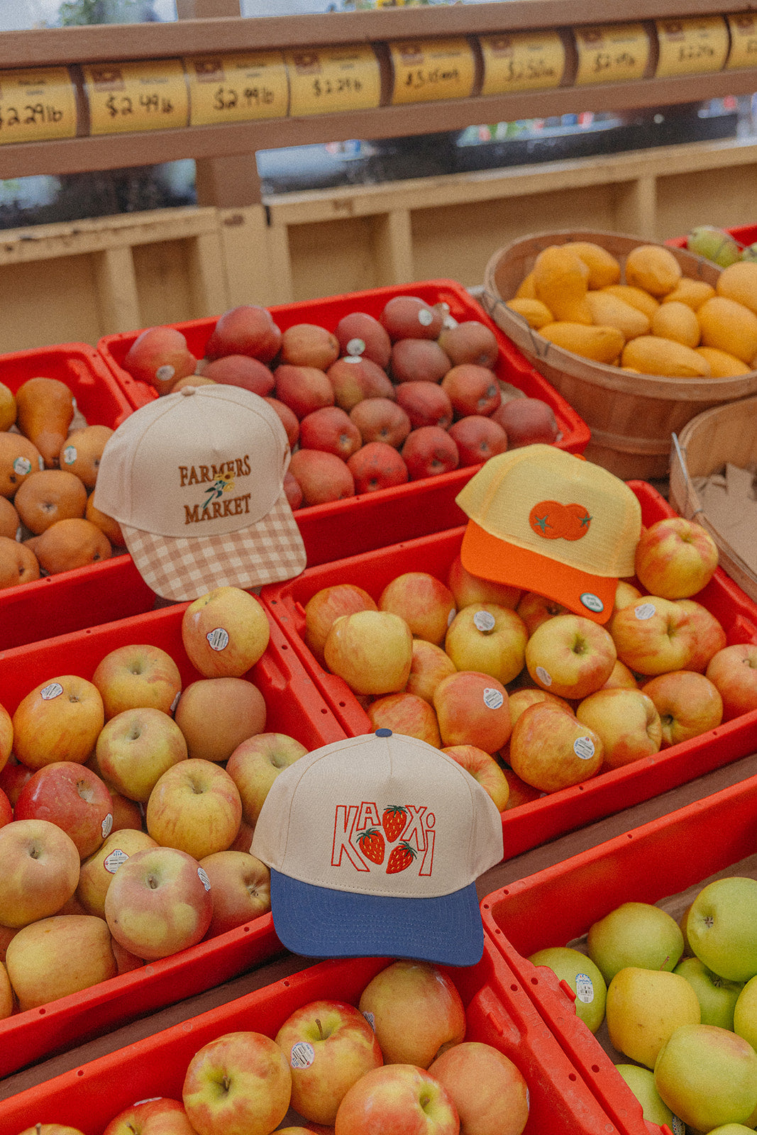 GINGHAM FARMERS MARKET TRUCKER HAT