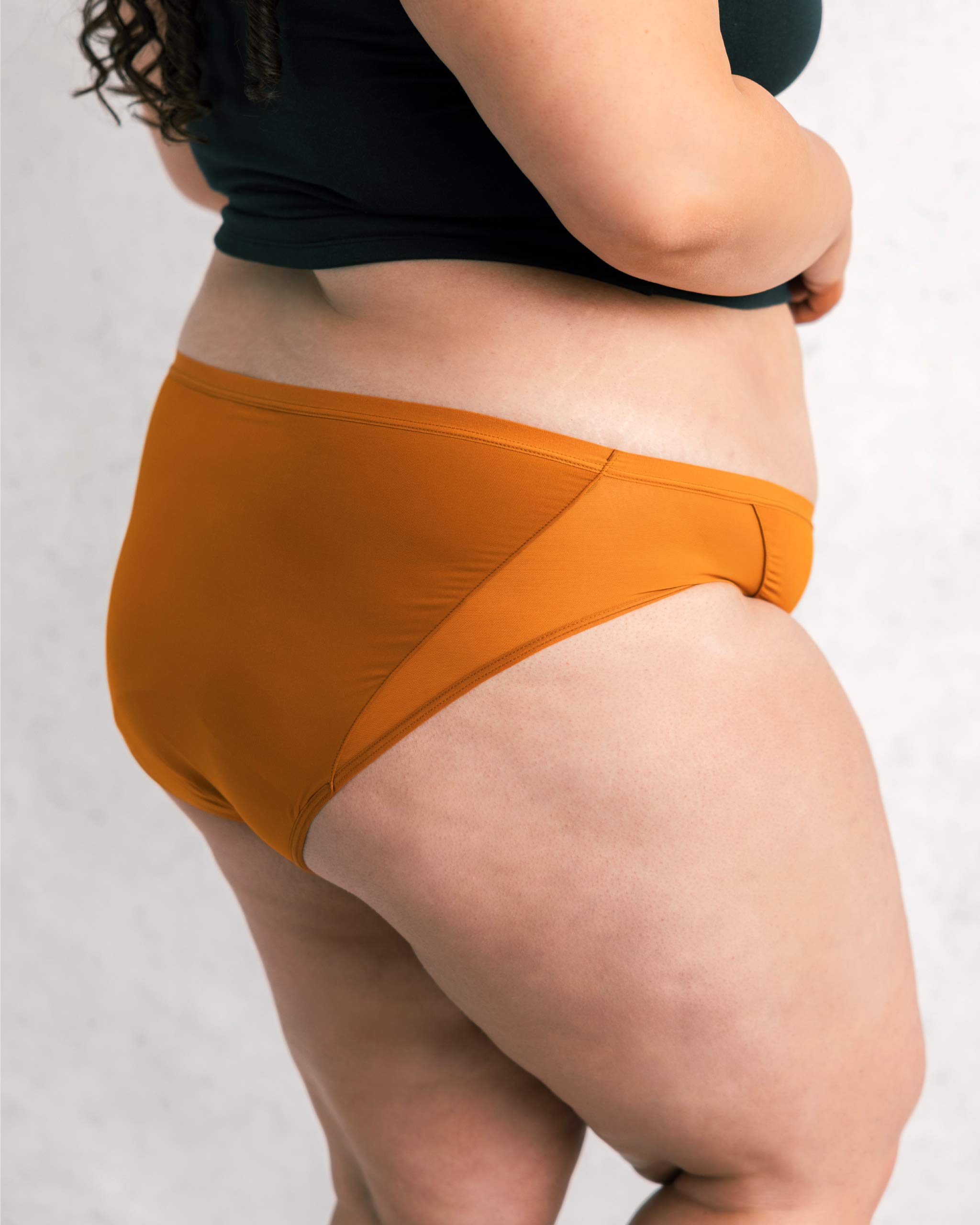 Leakproof Mesh Bikini Saalt