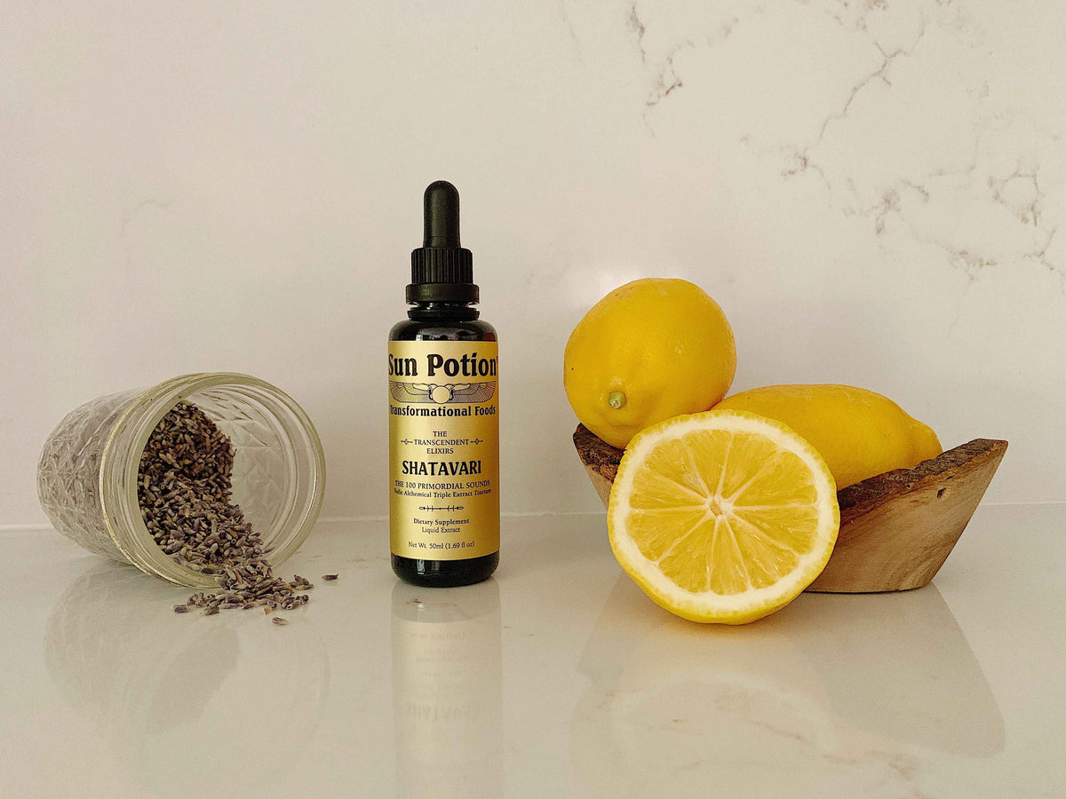 Sun Potion Shatavari Transcendent Elixir bottle on a marble counter beside lavender seeds and lemons