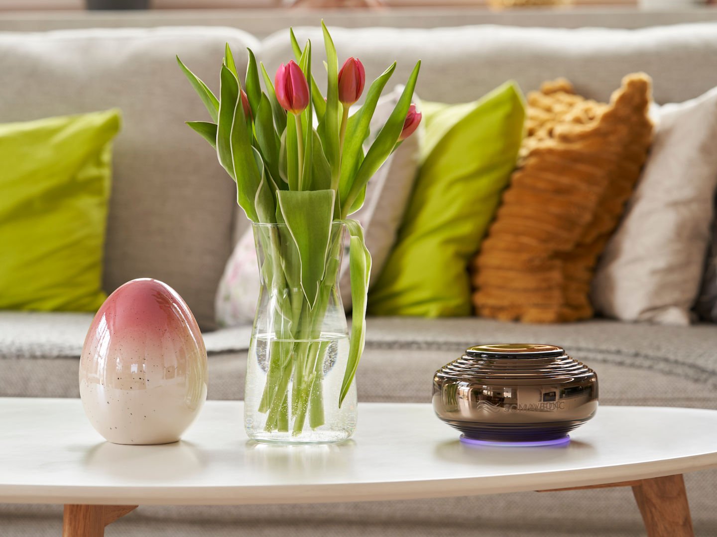 Anthracite Somavedic USA