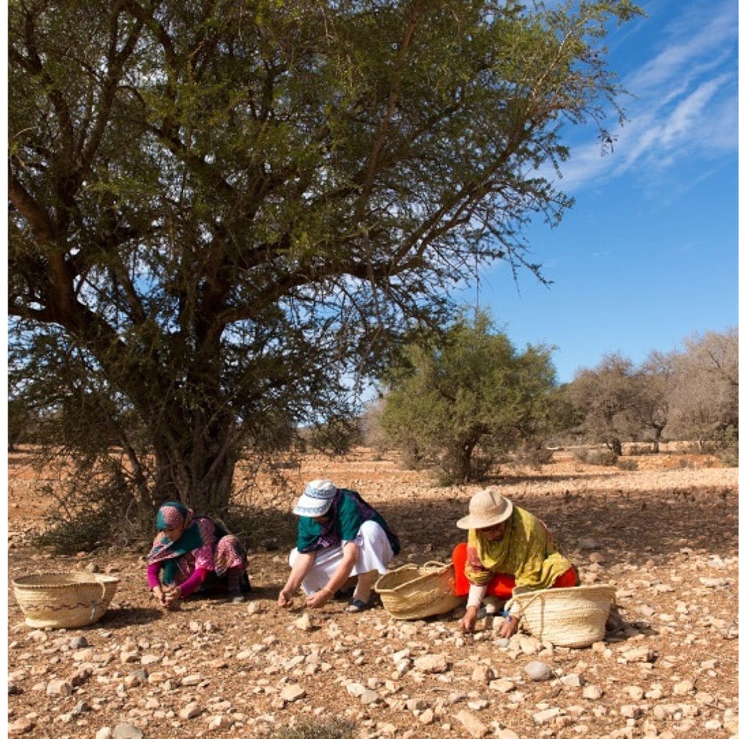 Argan Oil, 100% Organic Beautyologie