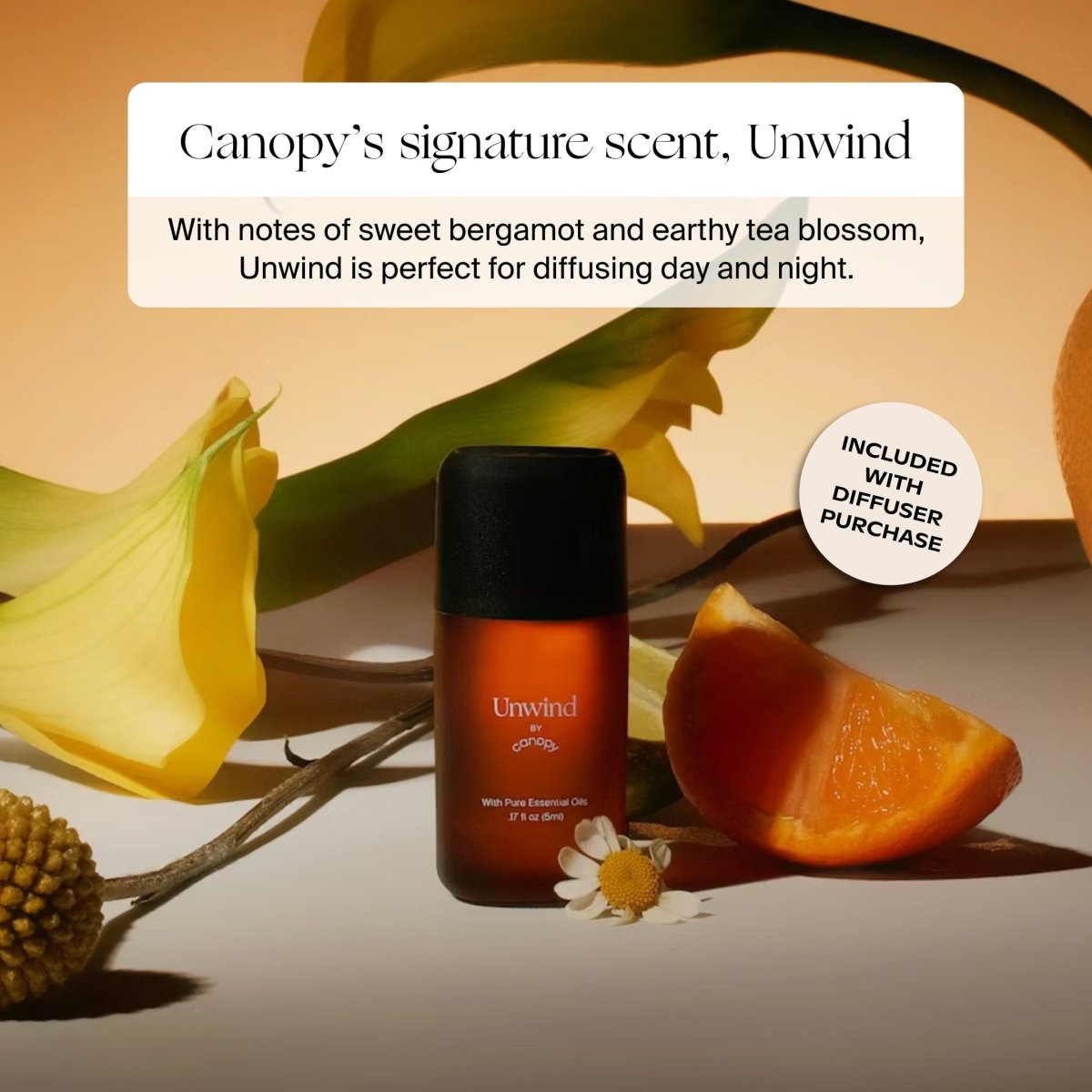 Canopy signature scent Unwind: sweet bergamot and earthy tea blossom, included with diffuser purchase