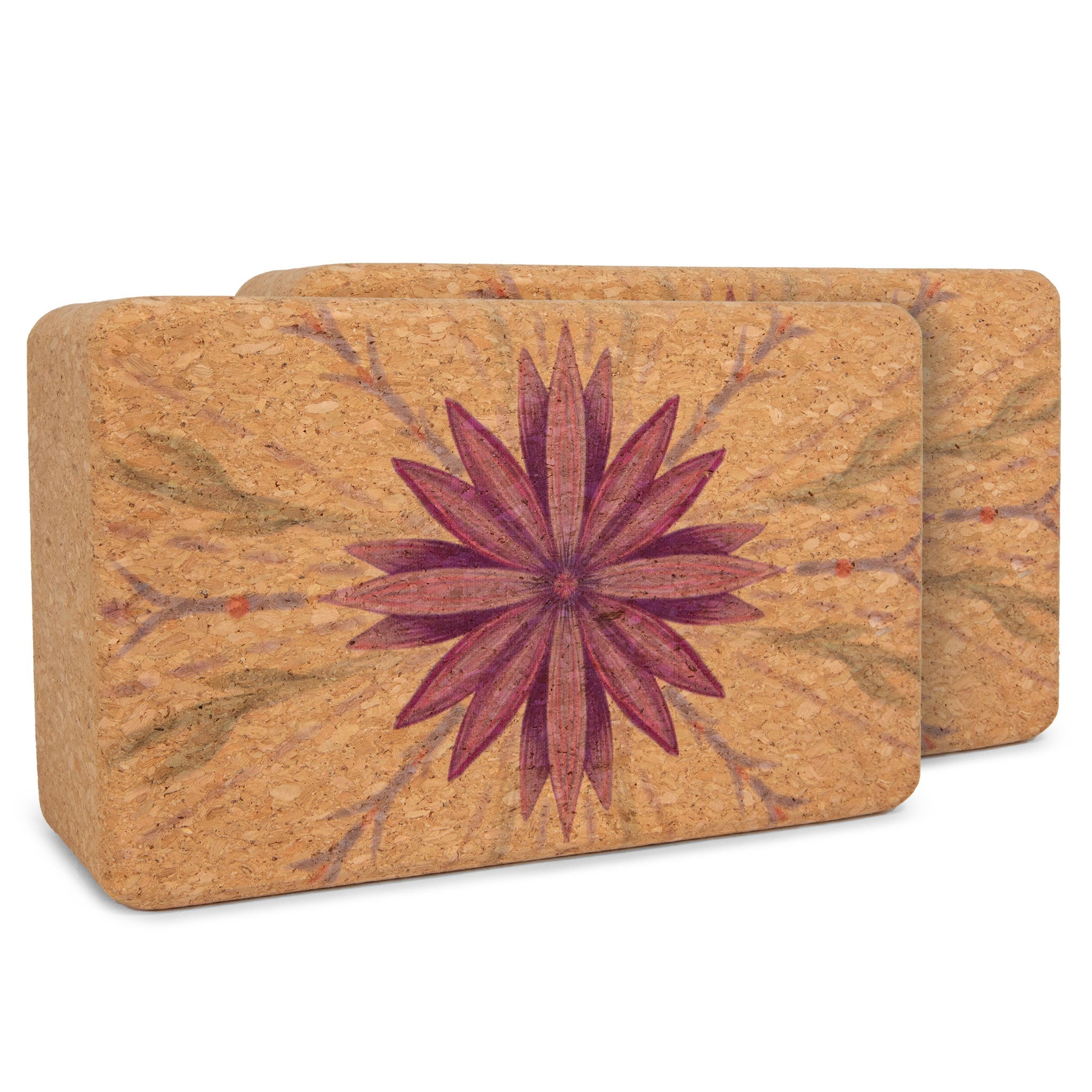 Artist Cork Yoga Block Set Yoloha Yoga