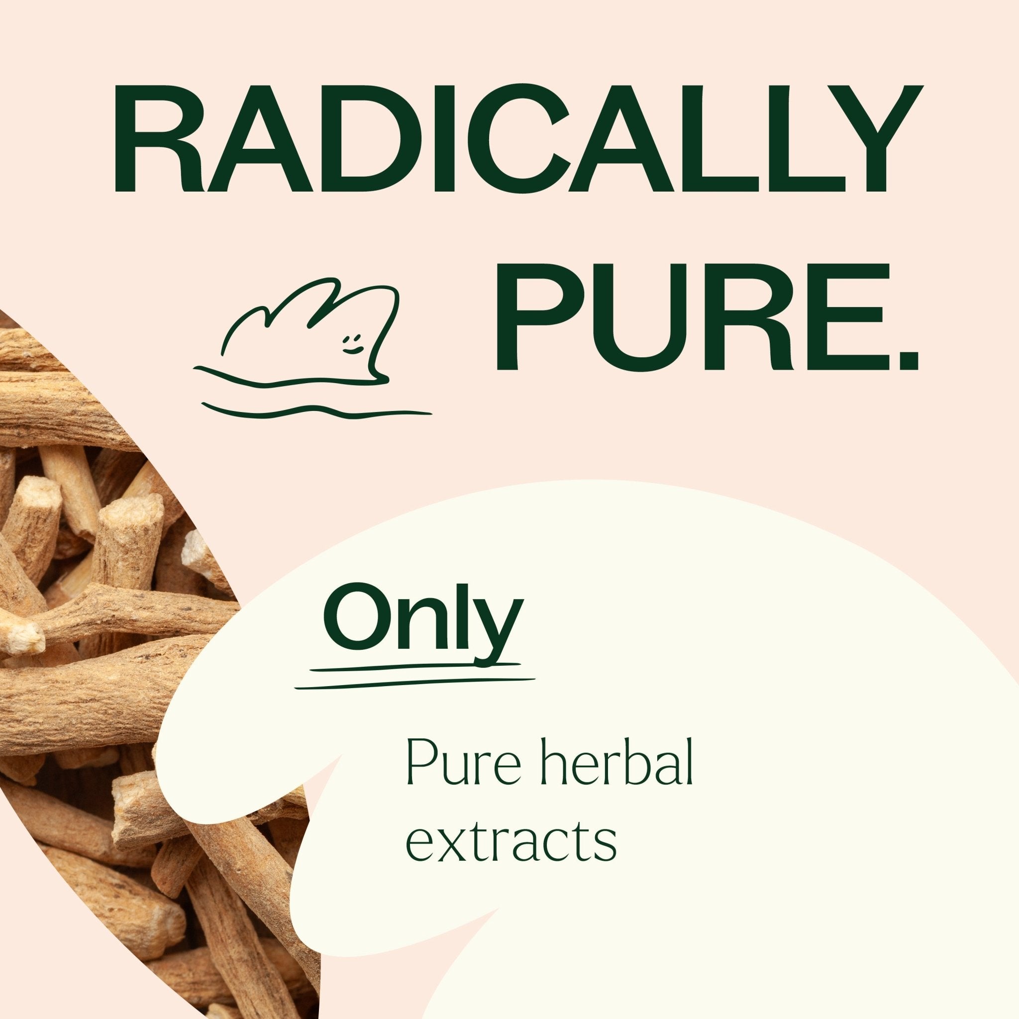 Ashwagandha Herbal Supplement - 120 Capsules Plant Therapy