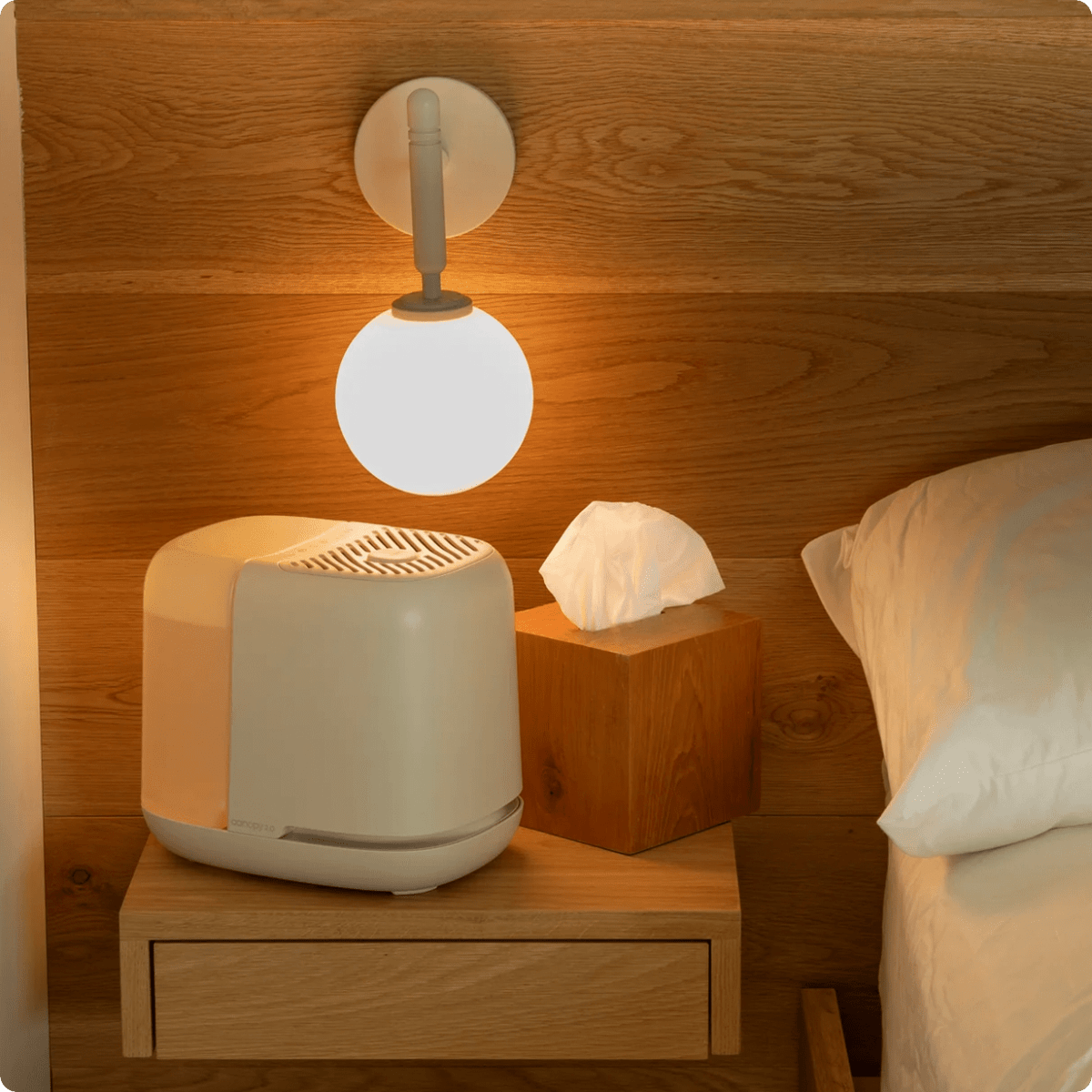 Bedside Humidifier 2.0 Canopy