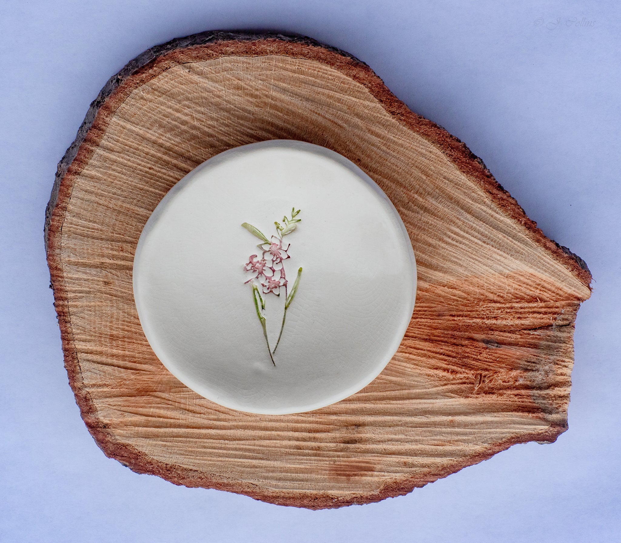 Birth Flower Ring Dish prodigalpottery