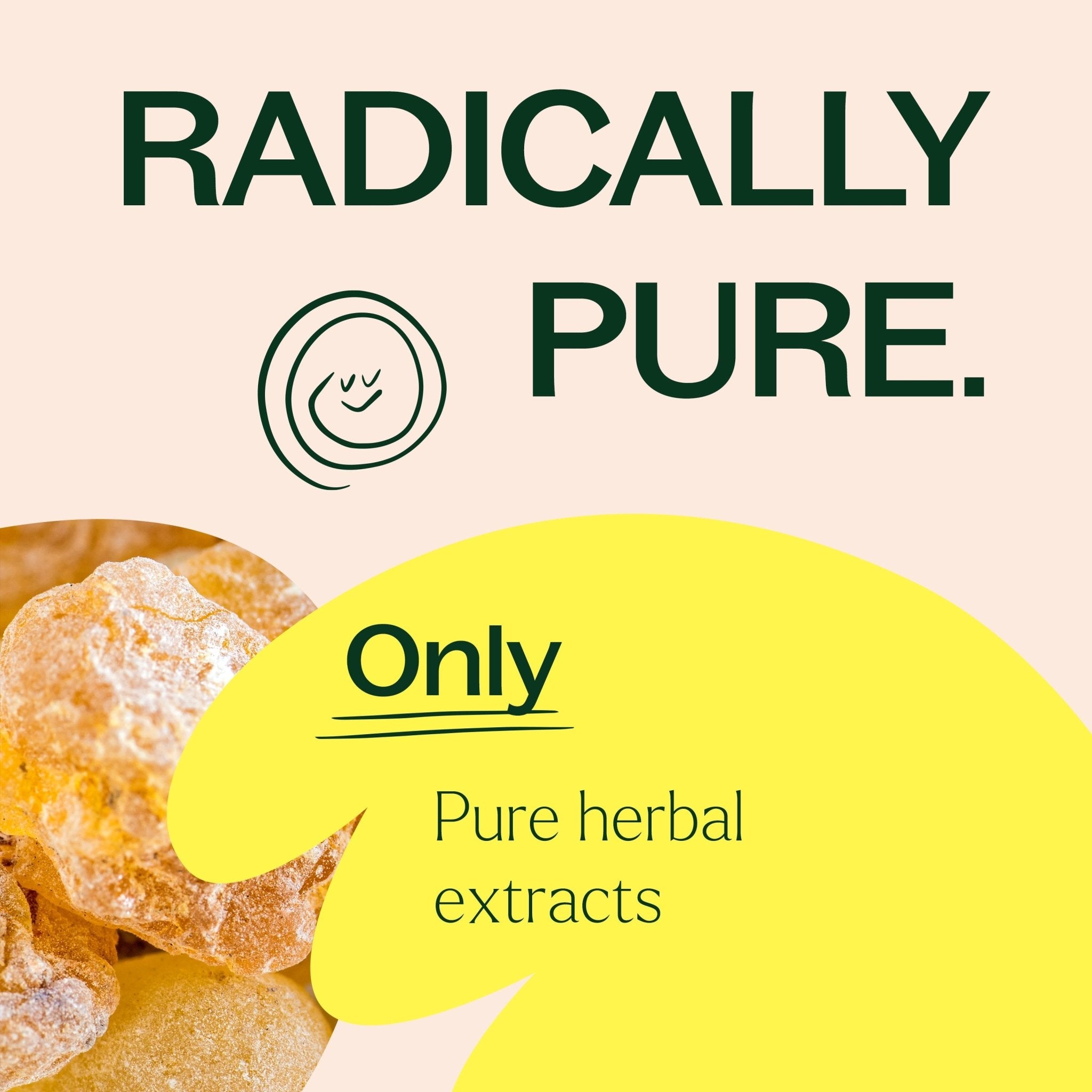 Boswellia Herbal Supplement - 120 Capsules Plant Therapy