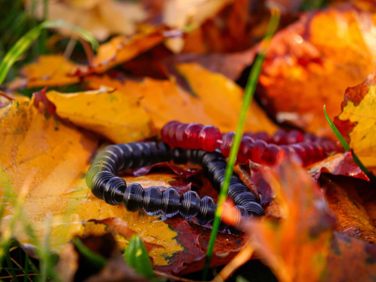 Somavedic black and red Bracelets in autumn leaves, close-up