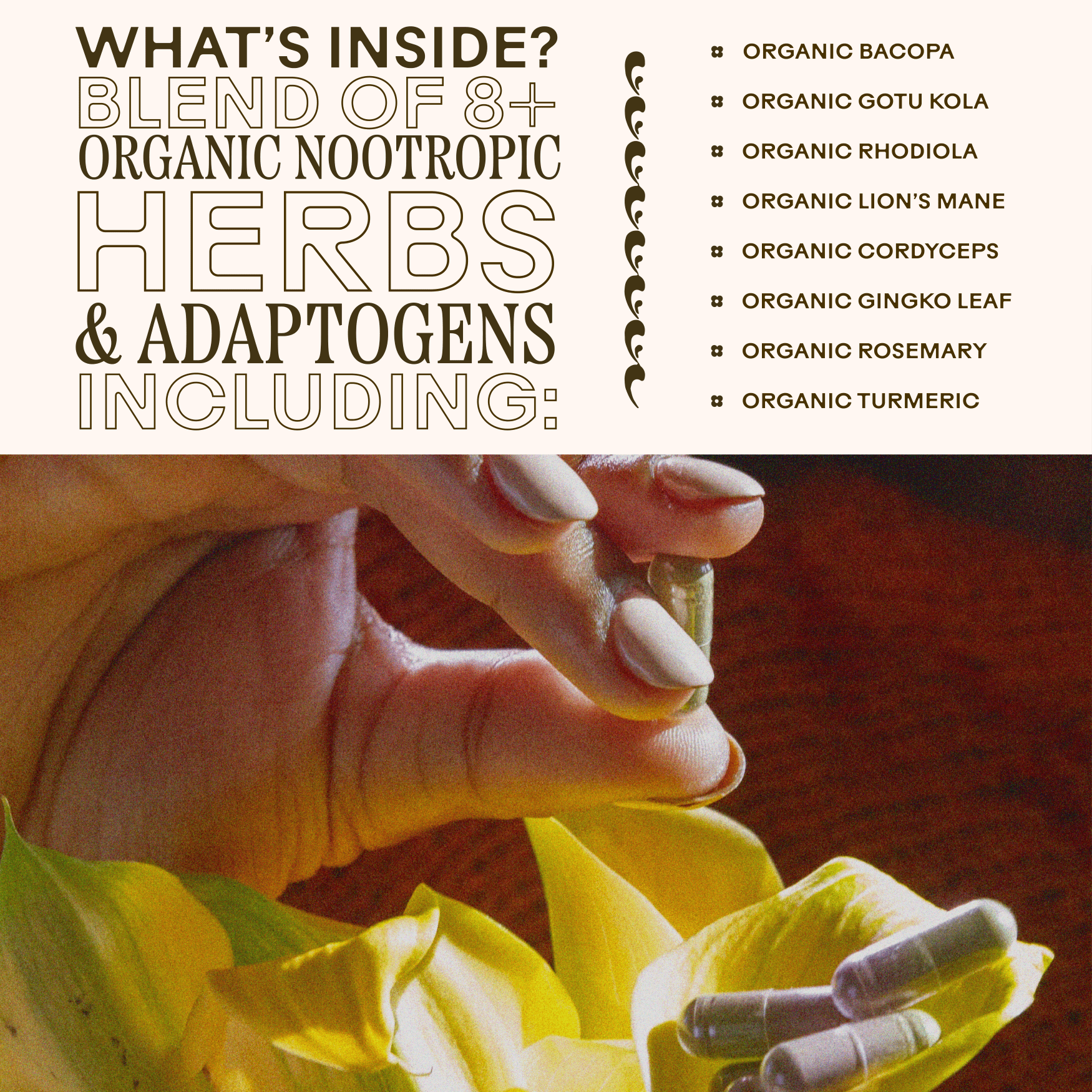 Brain Bloom WOODEN SPOON HERBS