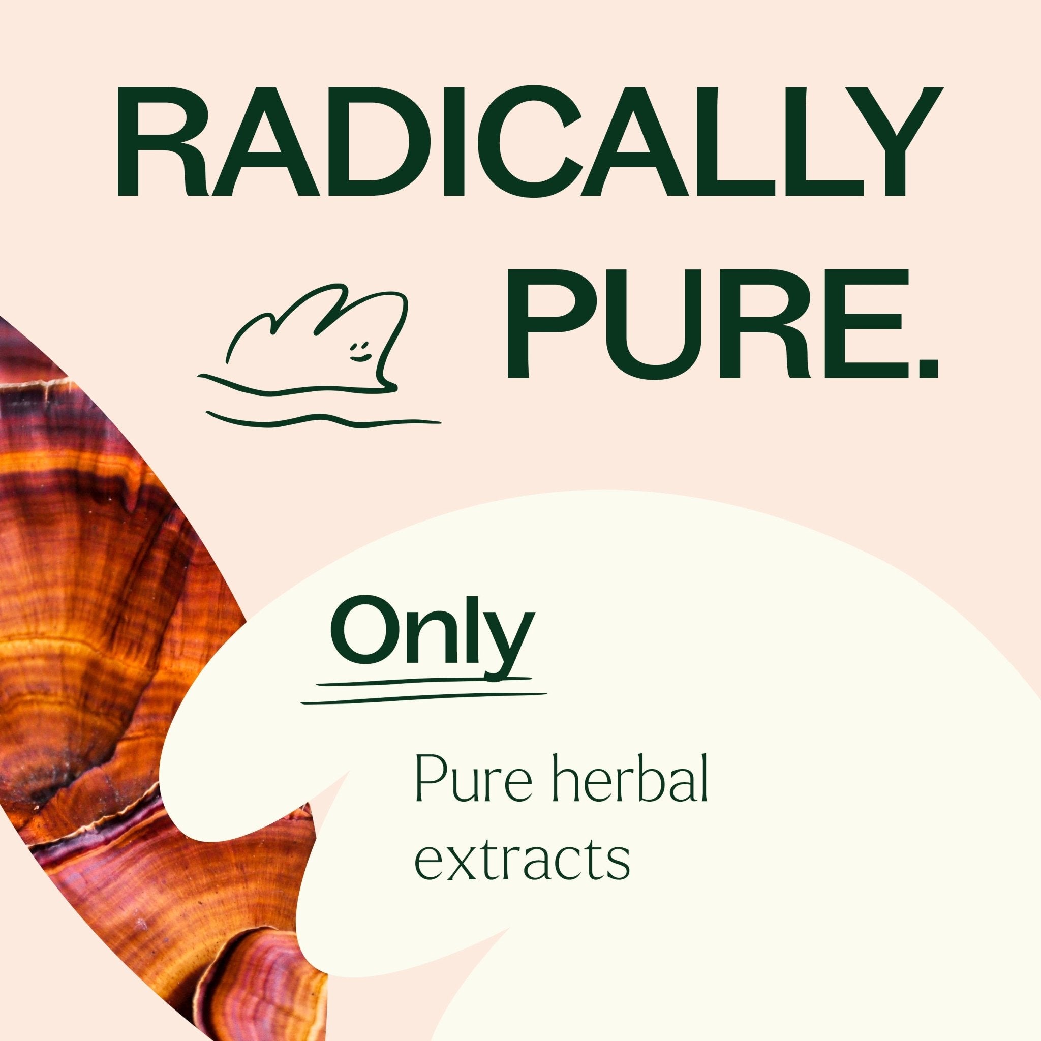 Brain Boost Herbal Supplement - 120 Capsules Plant Therapy