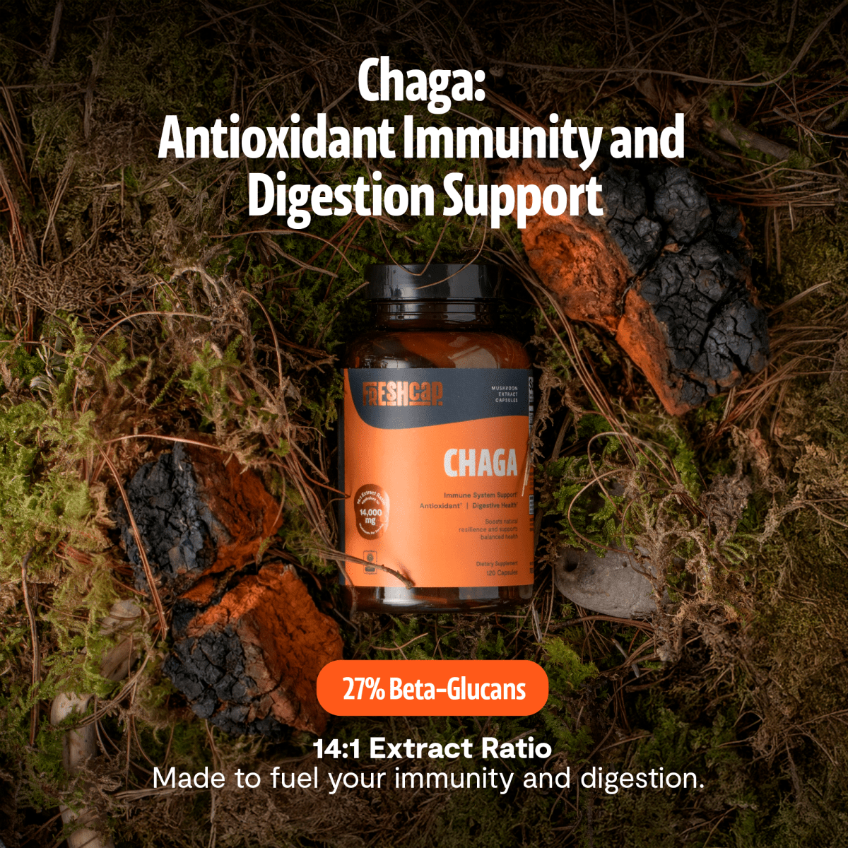 FreshCap Mushrooms Chaga Capsules on moss: antioxidant immunity and digestion support, 14:1 extract ratio
