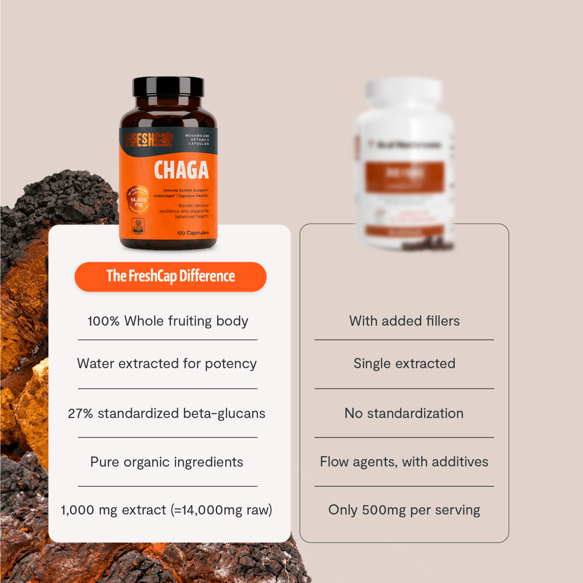 FreshCap Mushrooms Chaga Capsules versus a competitor: whole fruiting body, water extracted, no fillers