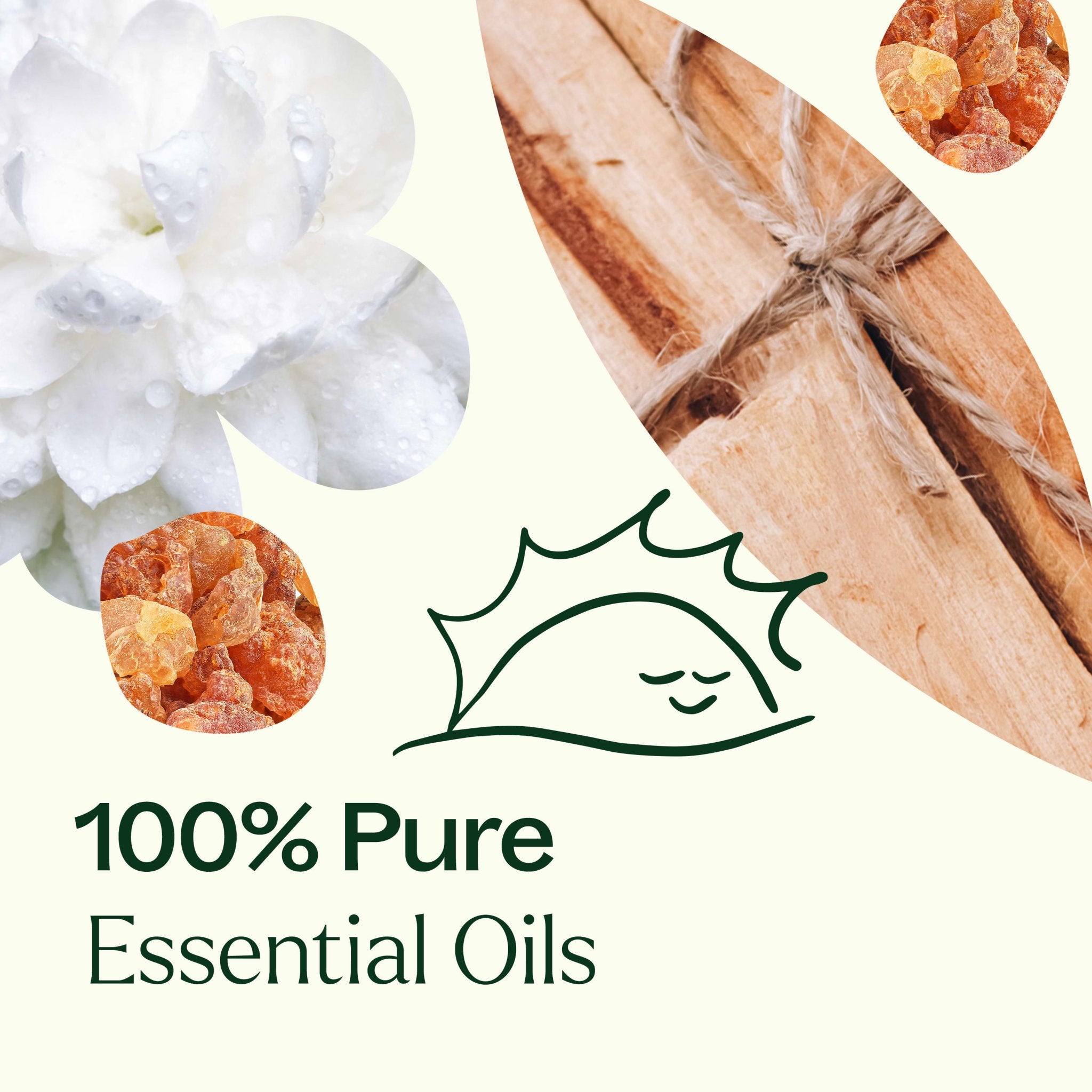 Chakra Blends Essential Oil Roll - On Set Plant Therapy