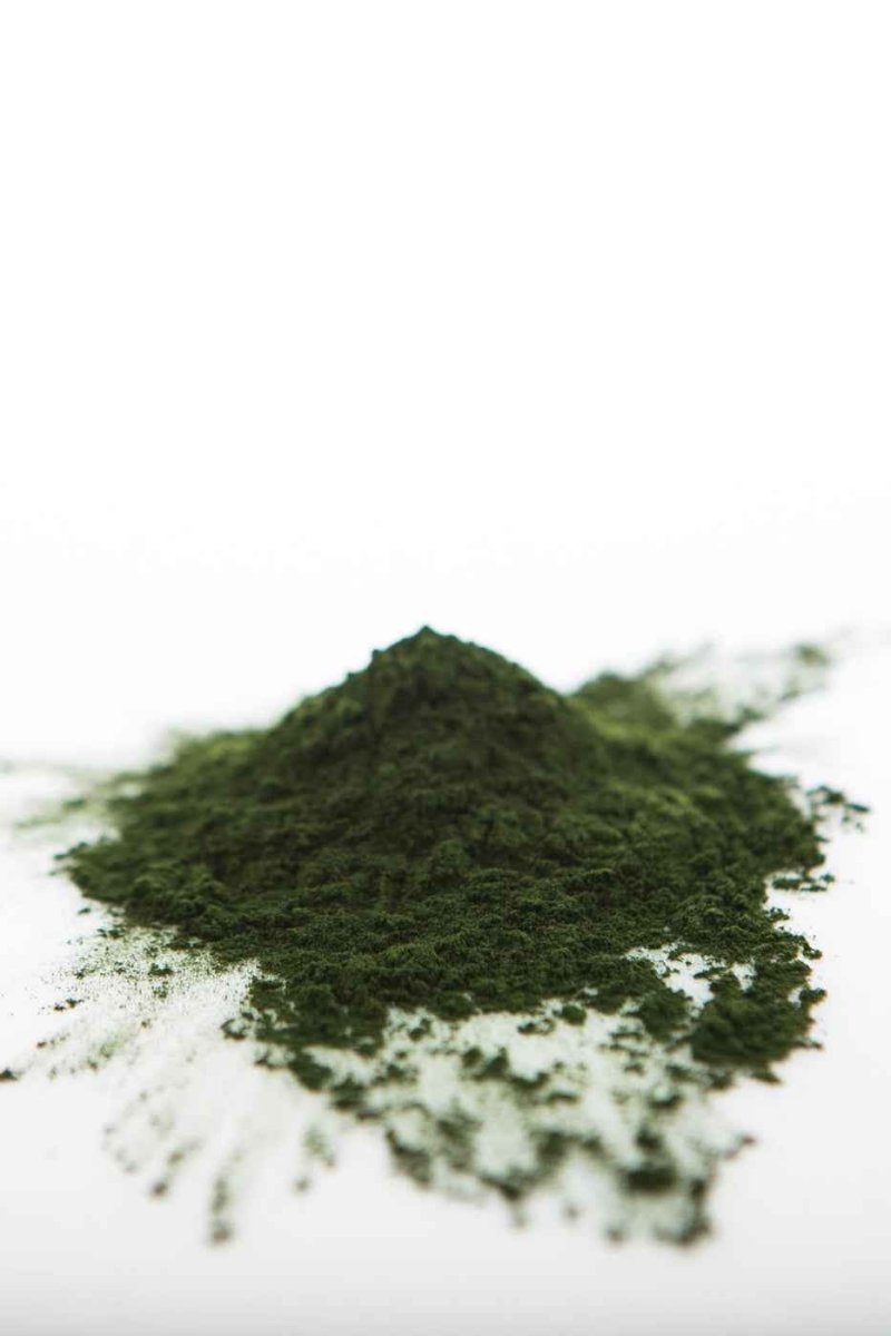 Chlorella - Travel Ally Edition Sun Potion