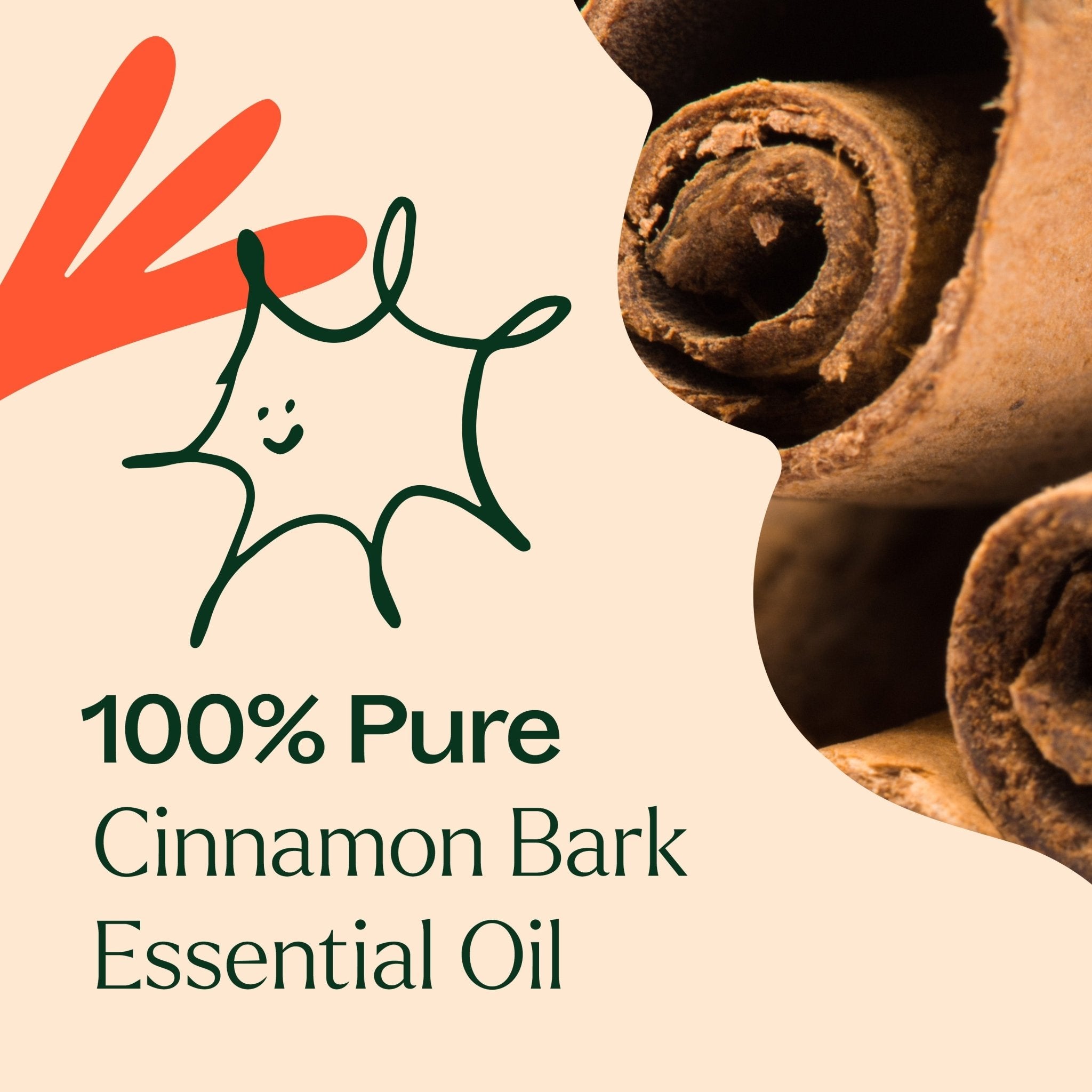 Cinnamon Bark Essential Oil Plant Therapy