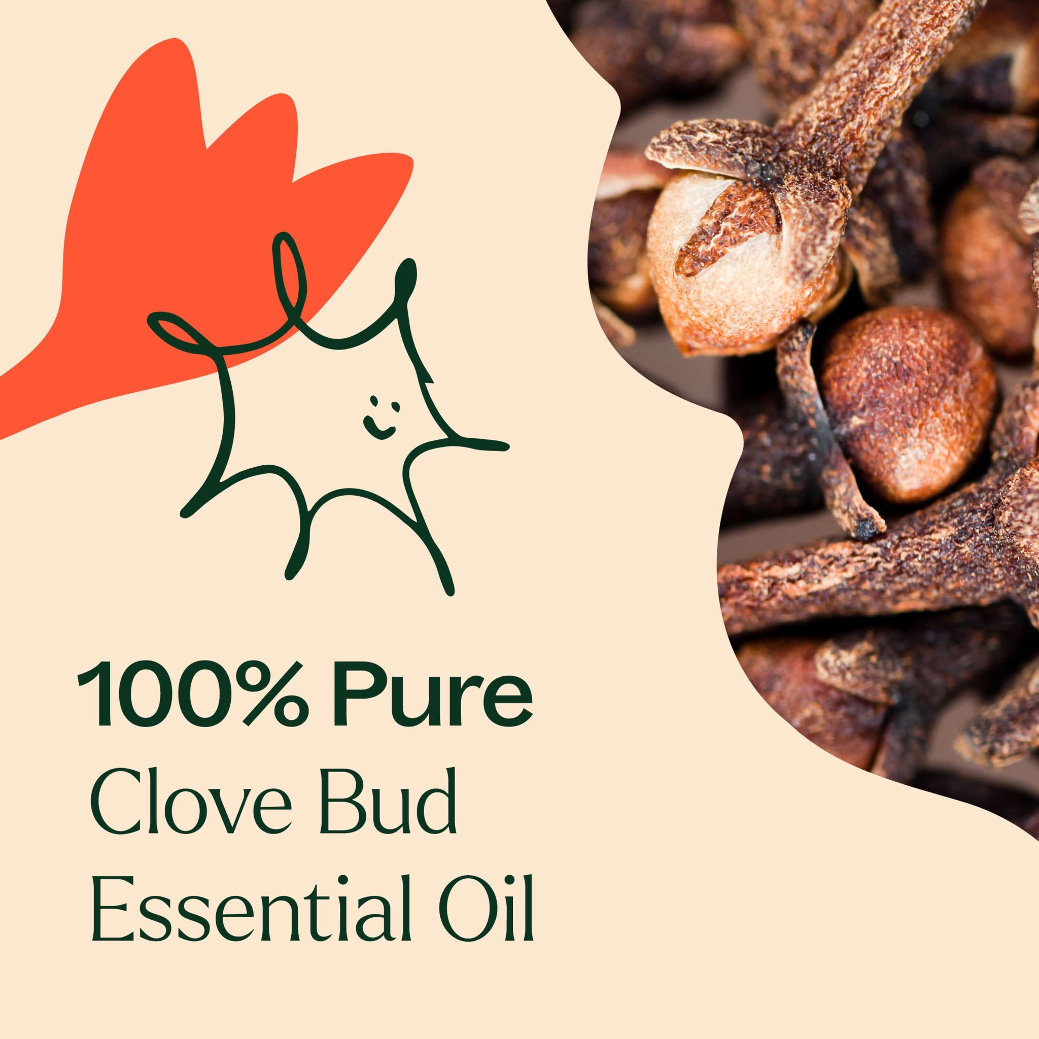 Clove Bud Essential Oil Plant Therapy