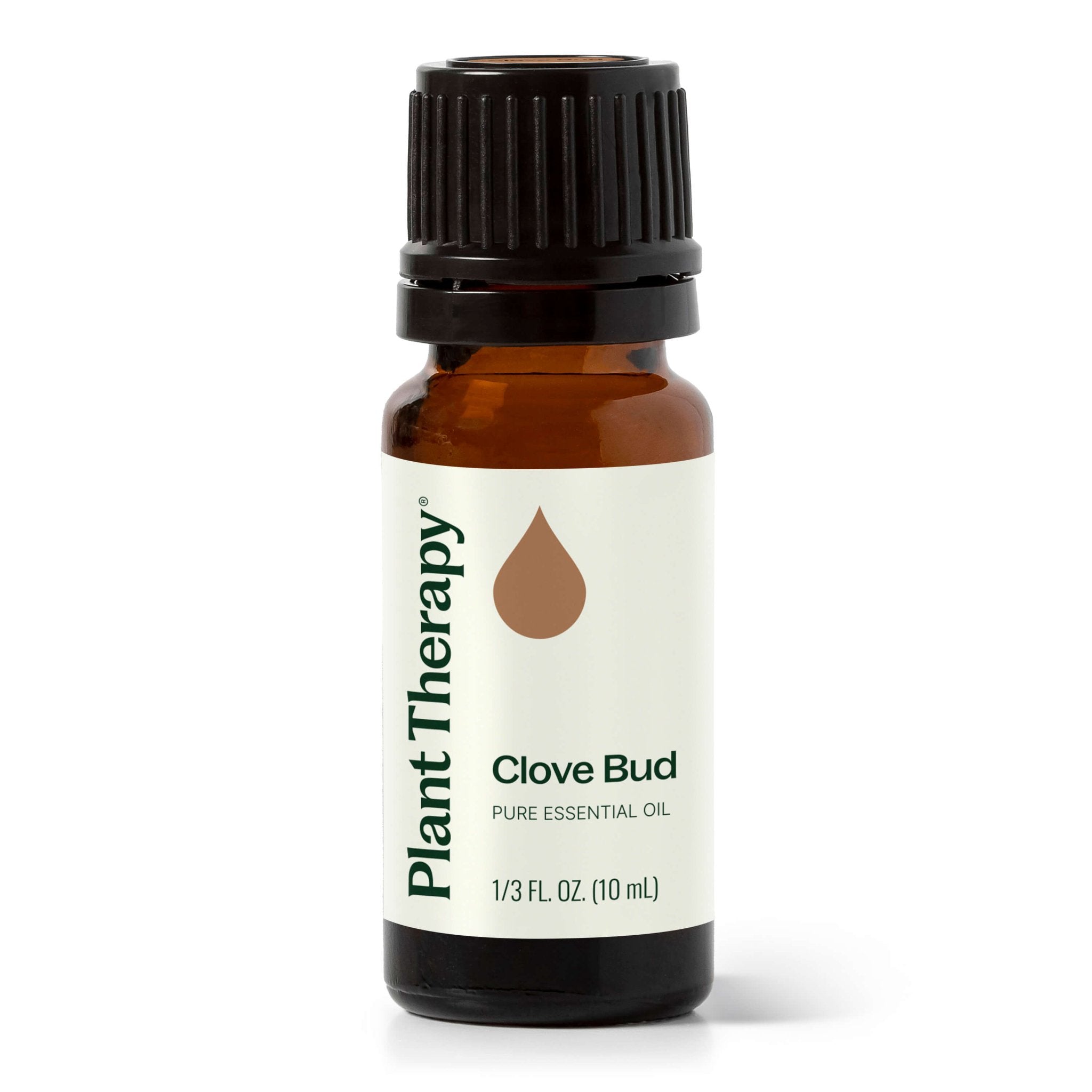 Clove Bud Essential Oil Plant Therapy
