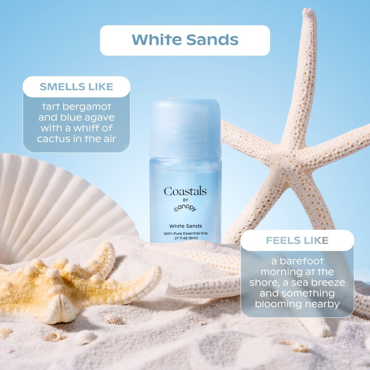 Coastals Aroma Kit Canopy