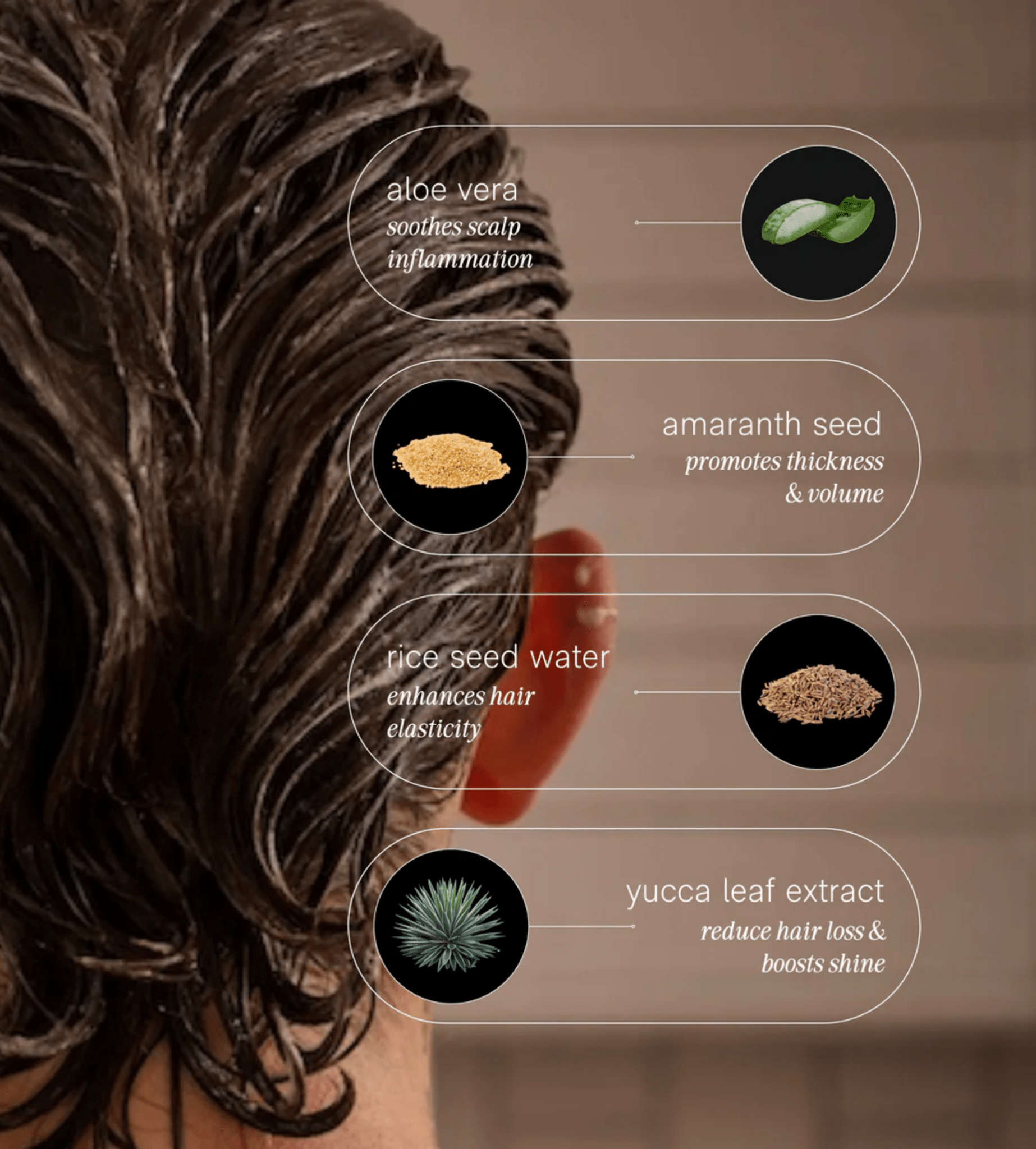 Conditioner JACK HENRY