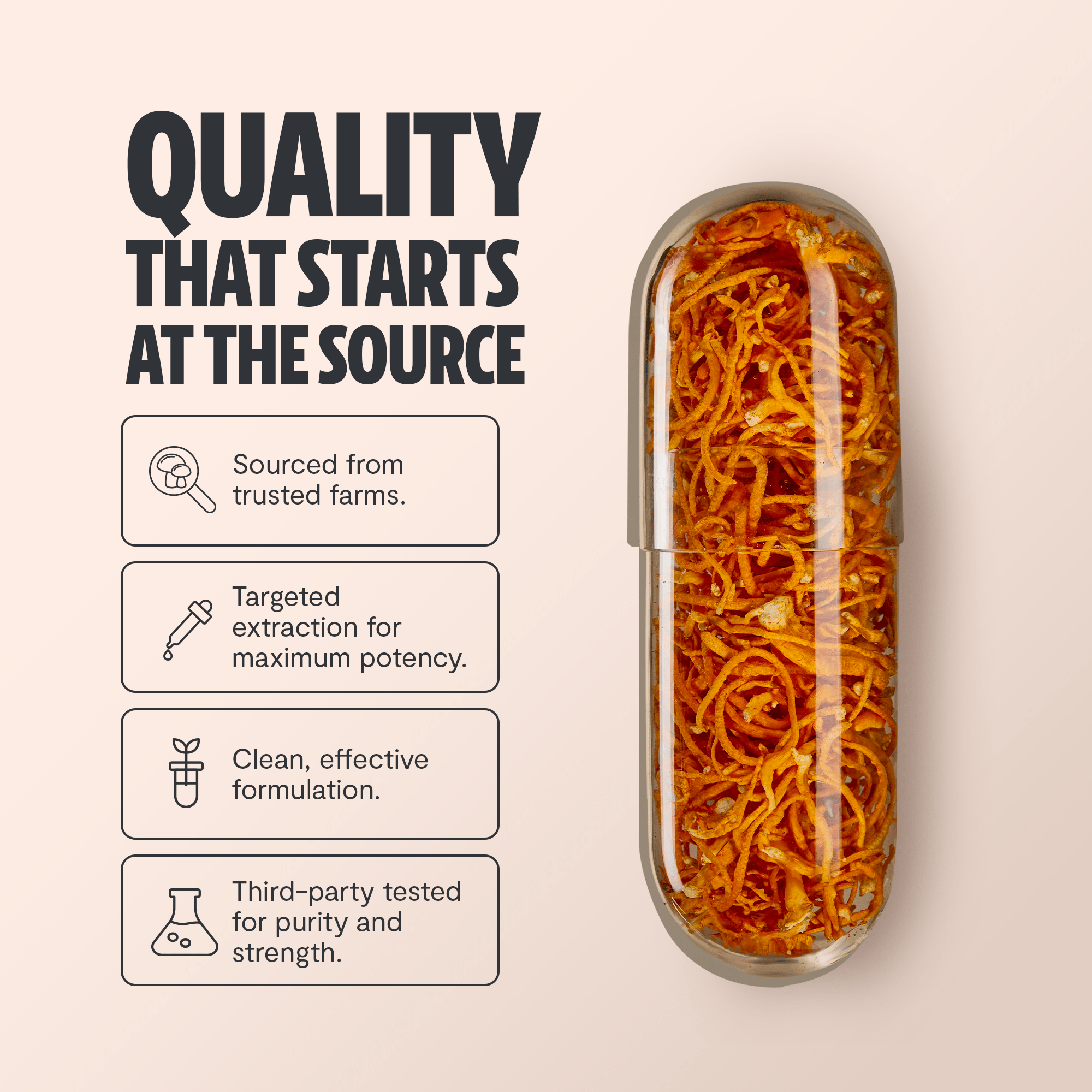 Cordyceps Mushroom Extract Capsules FreshCap Mushrooms