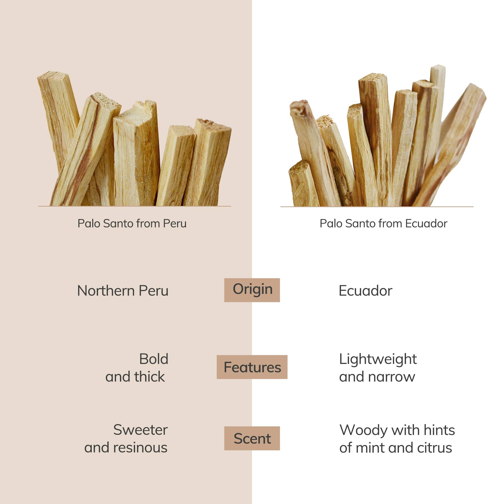 Ecuadorian Palo Santo Sticks (10 Pieces) CEDAR AND MYRRH