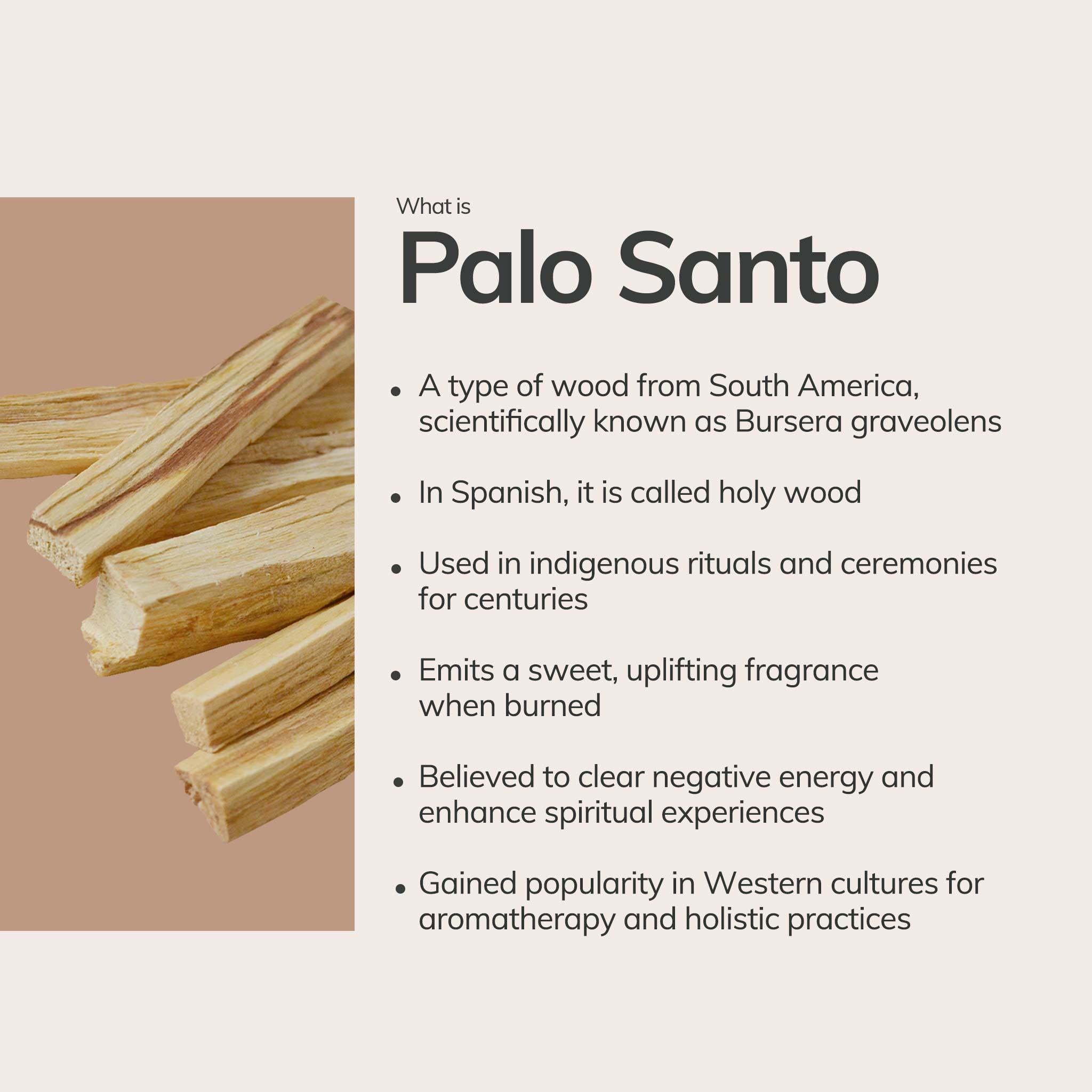 Ecuadorian Palo Santo Sticks (10 Pieces) CEDAR AND MYRRH
