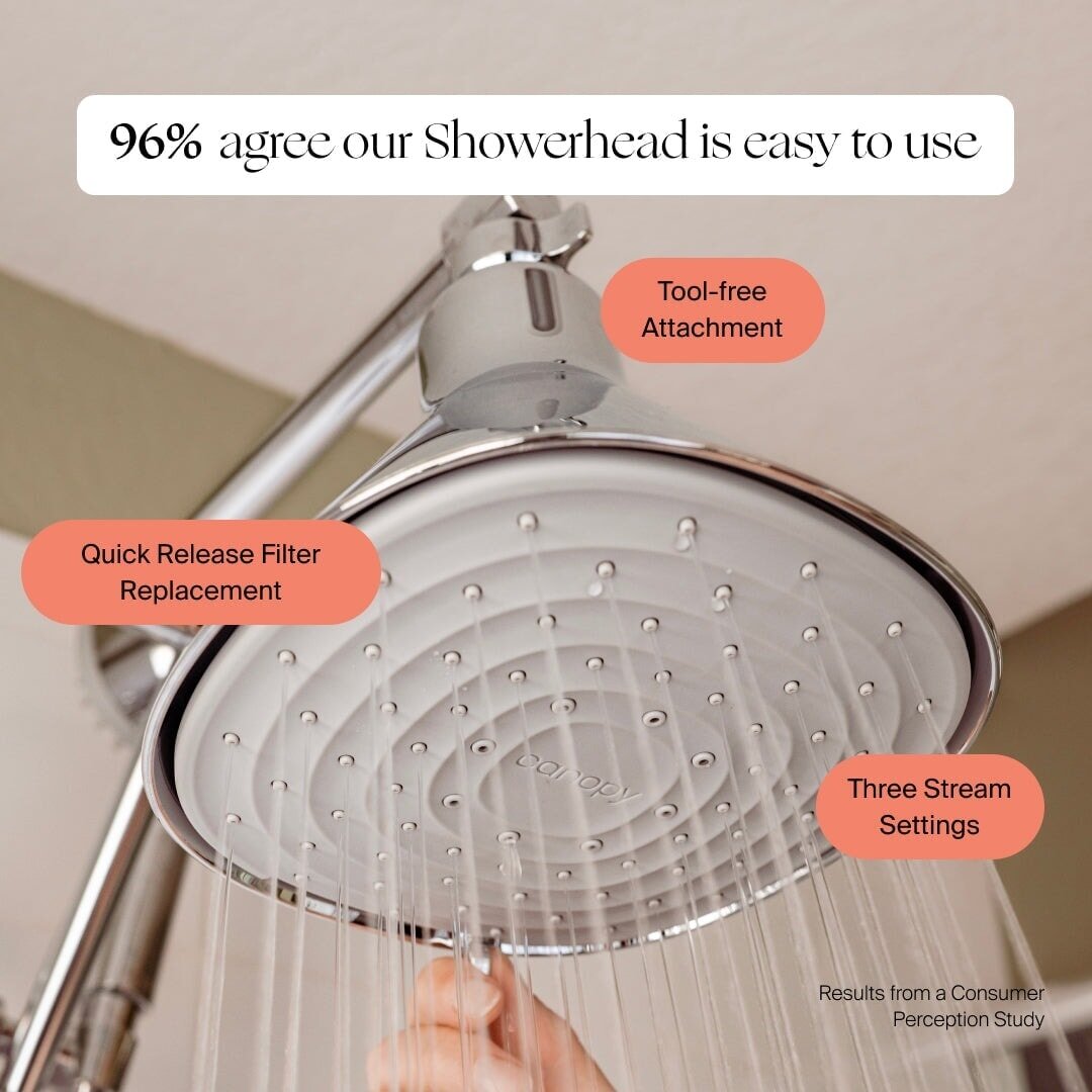 Filtered Showerhead Canopy