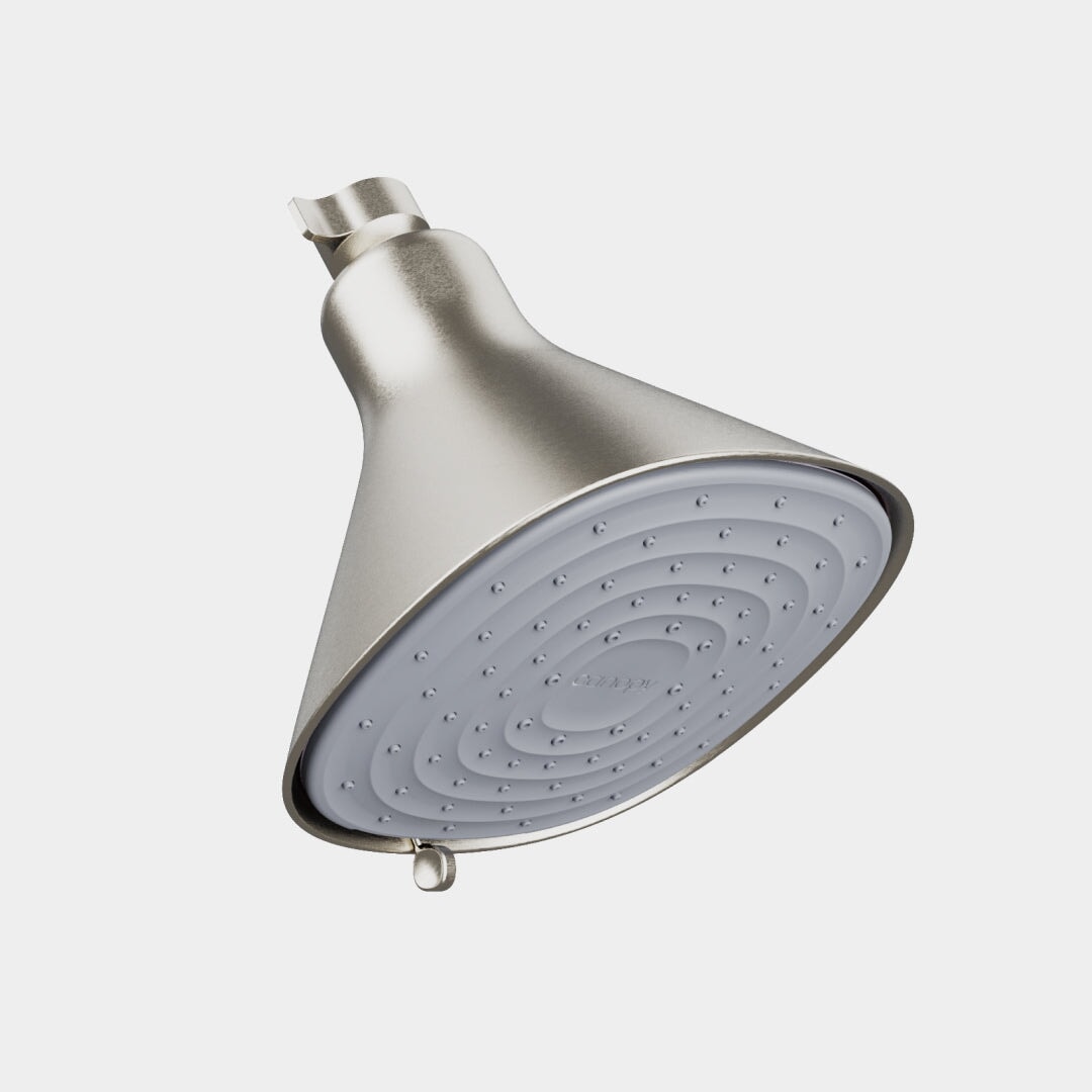 Filtered Showerhead Canopy