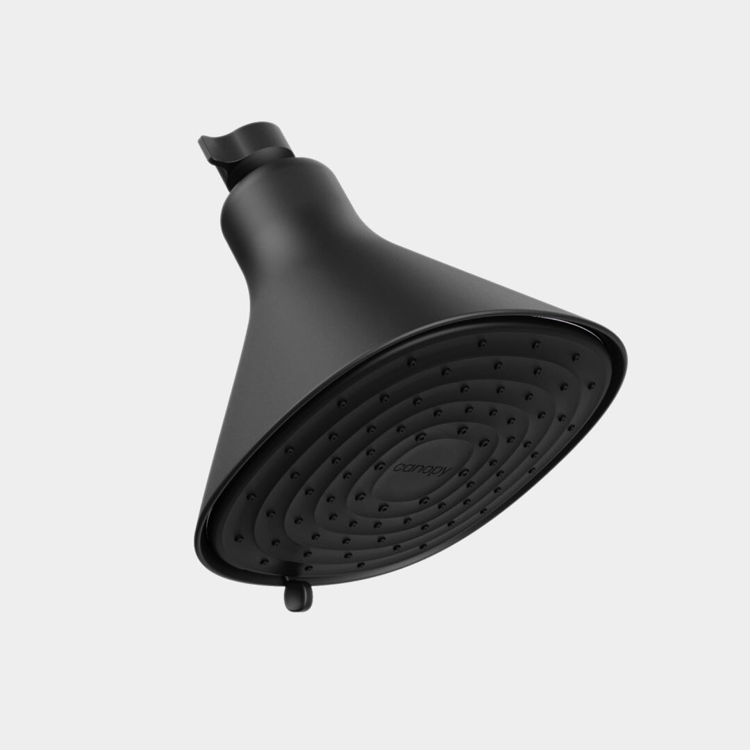 Filtered Showerhead Canopy