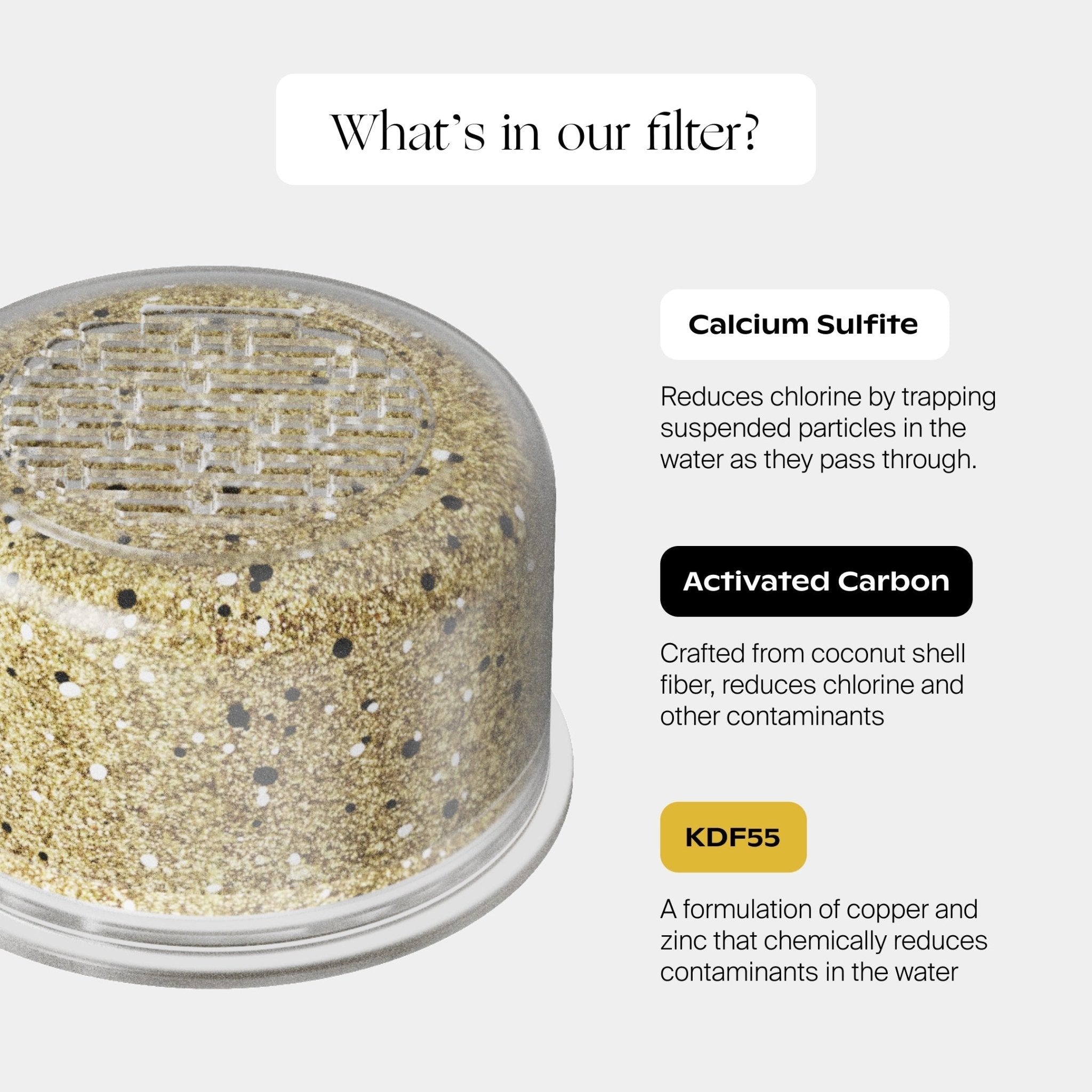 Filtered Showerhead Canopy