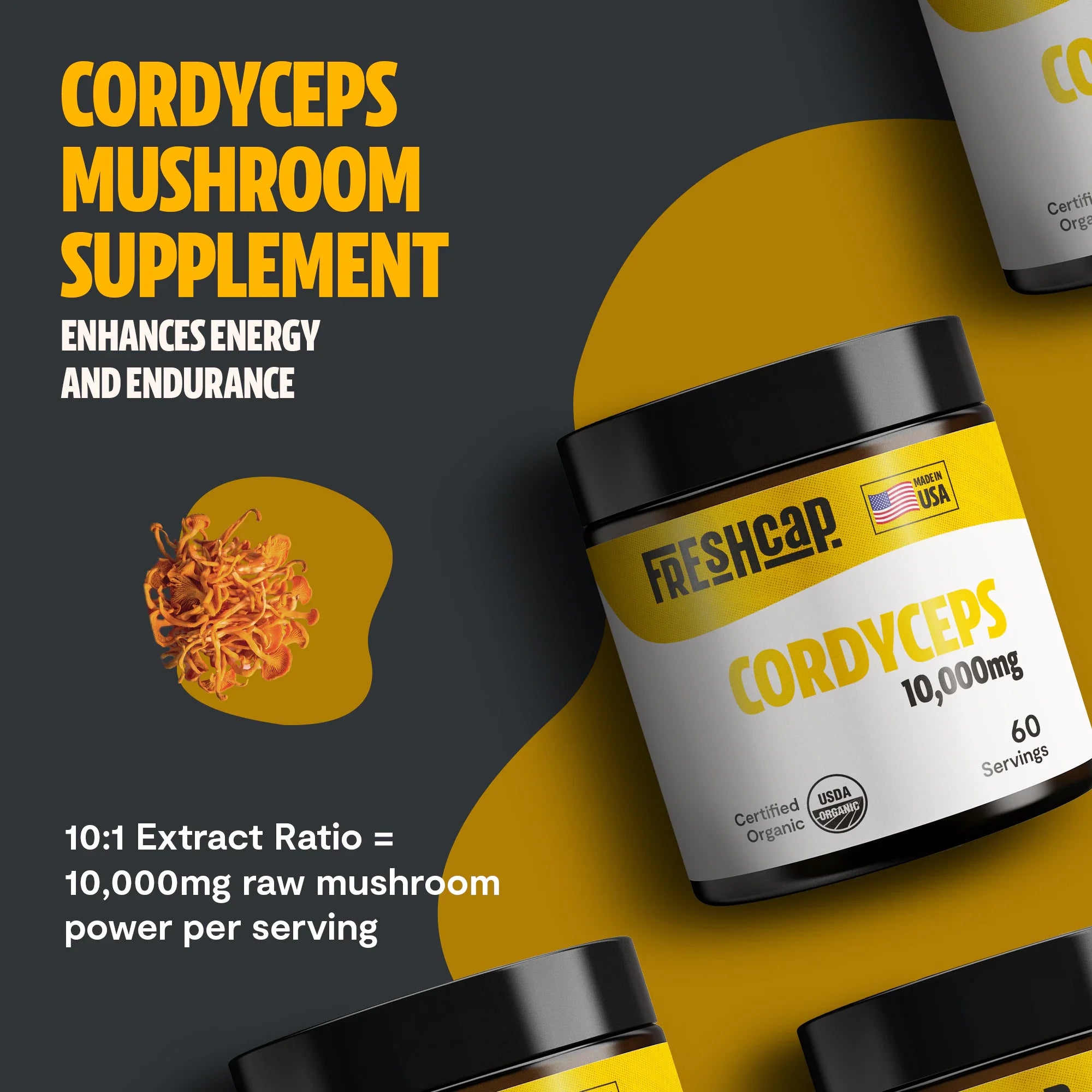 Polvo de extracto de hongo Cordyceps
