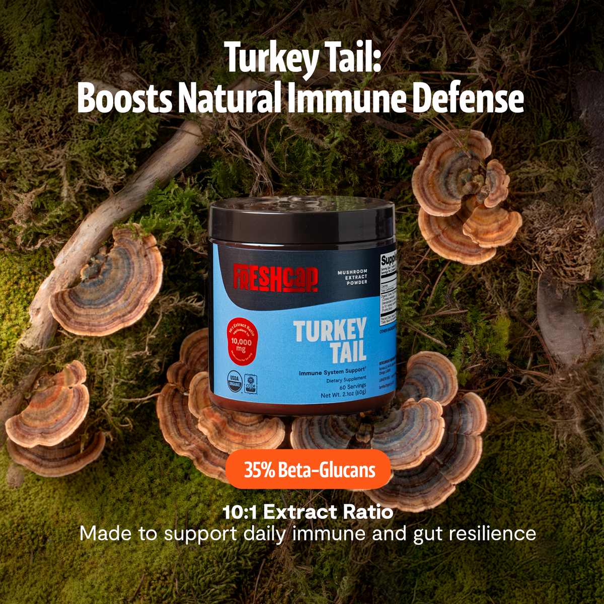 FreshCap Mushrooms Turkey Tail Powder jar on turkey tail mushrooms: 35% beta-glucans, 10:1 extract ratio