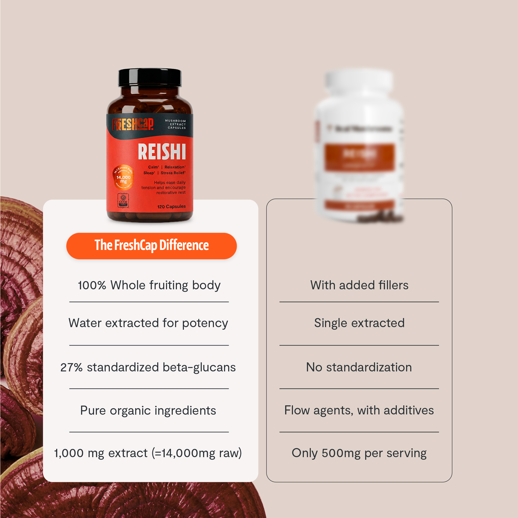 Cápsulas de extracto de hongo reishi