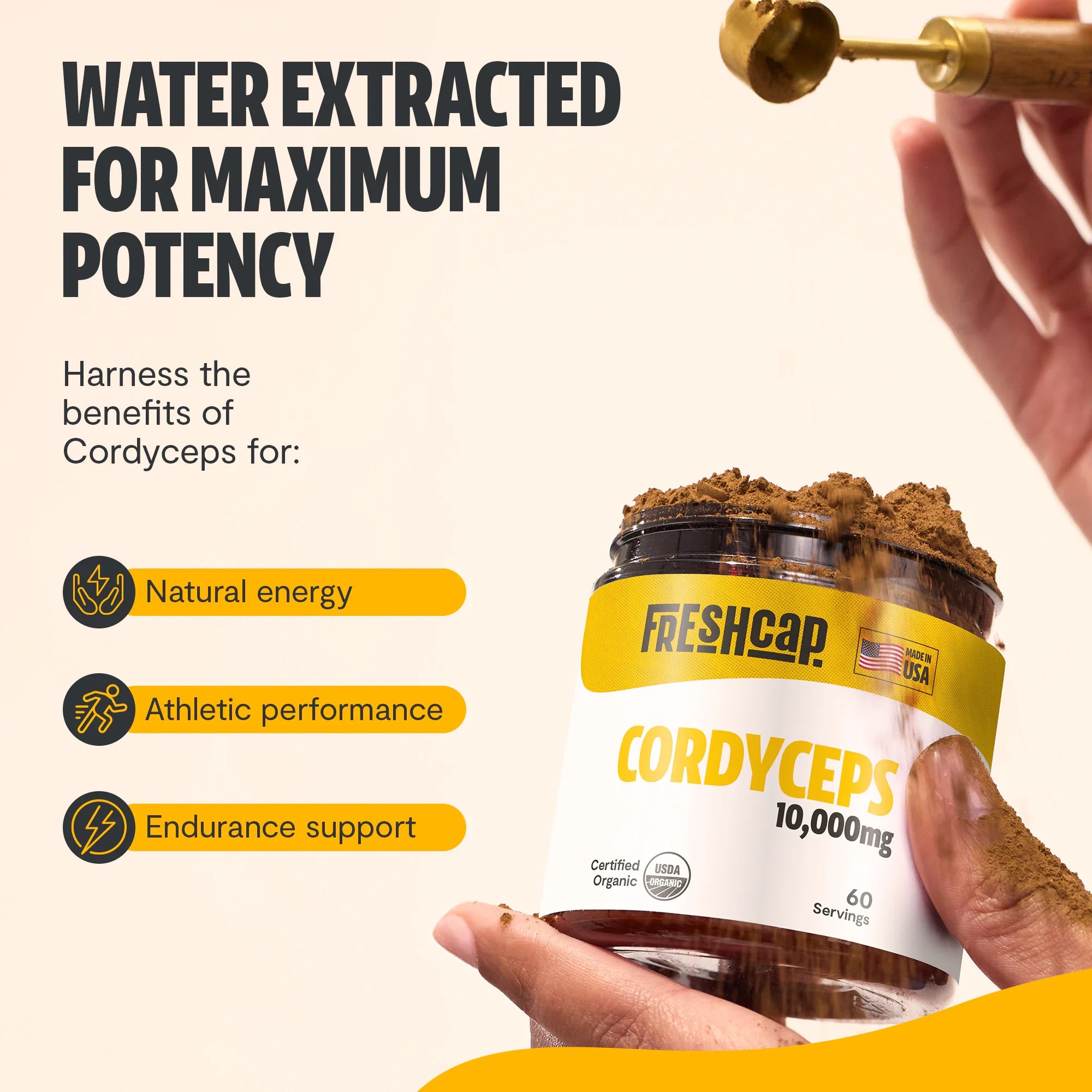 Polvo de extracto de hongo Cordyceps