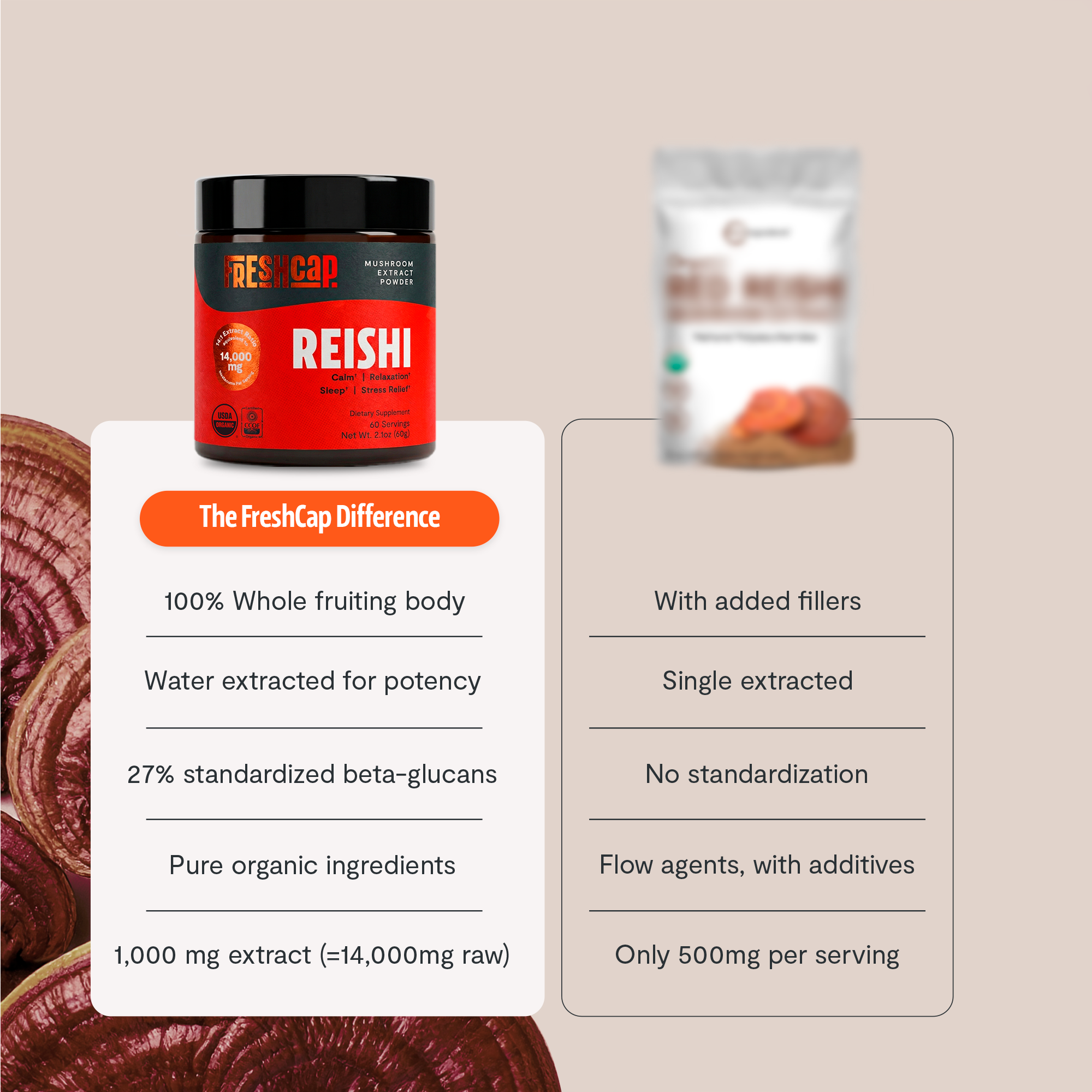 Polvo de extracto de hongo reishi