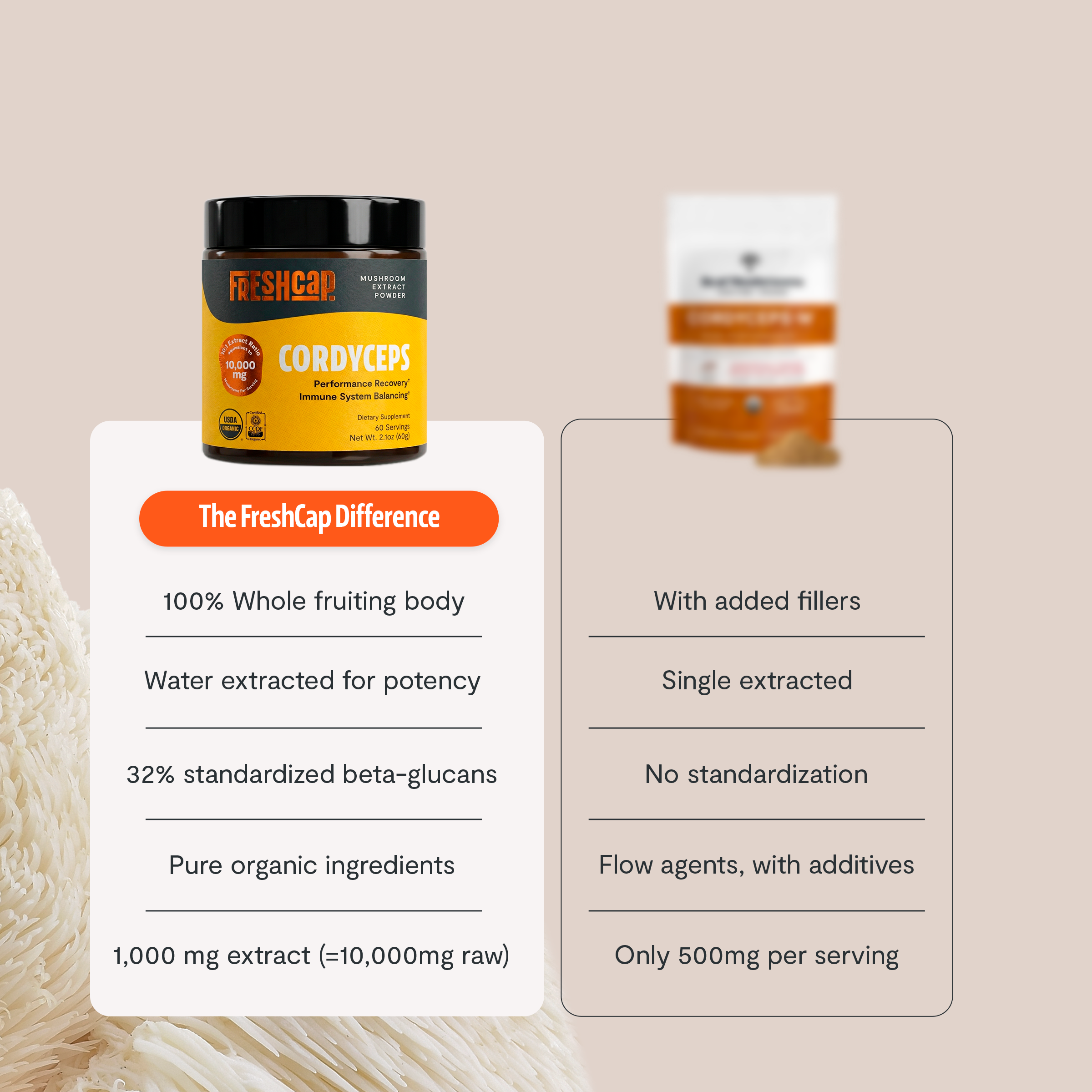 Polvo de extracto de hongo Cordyceps