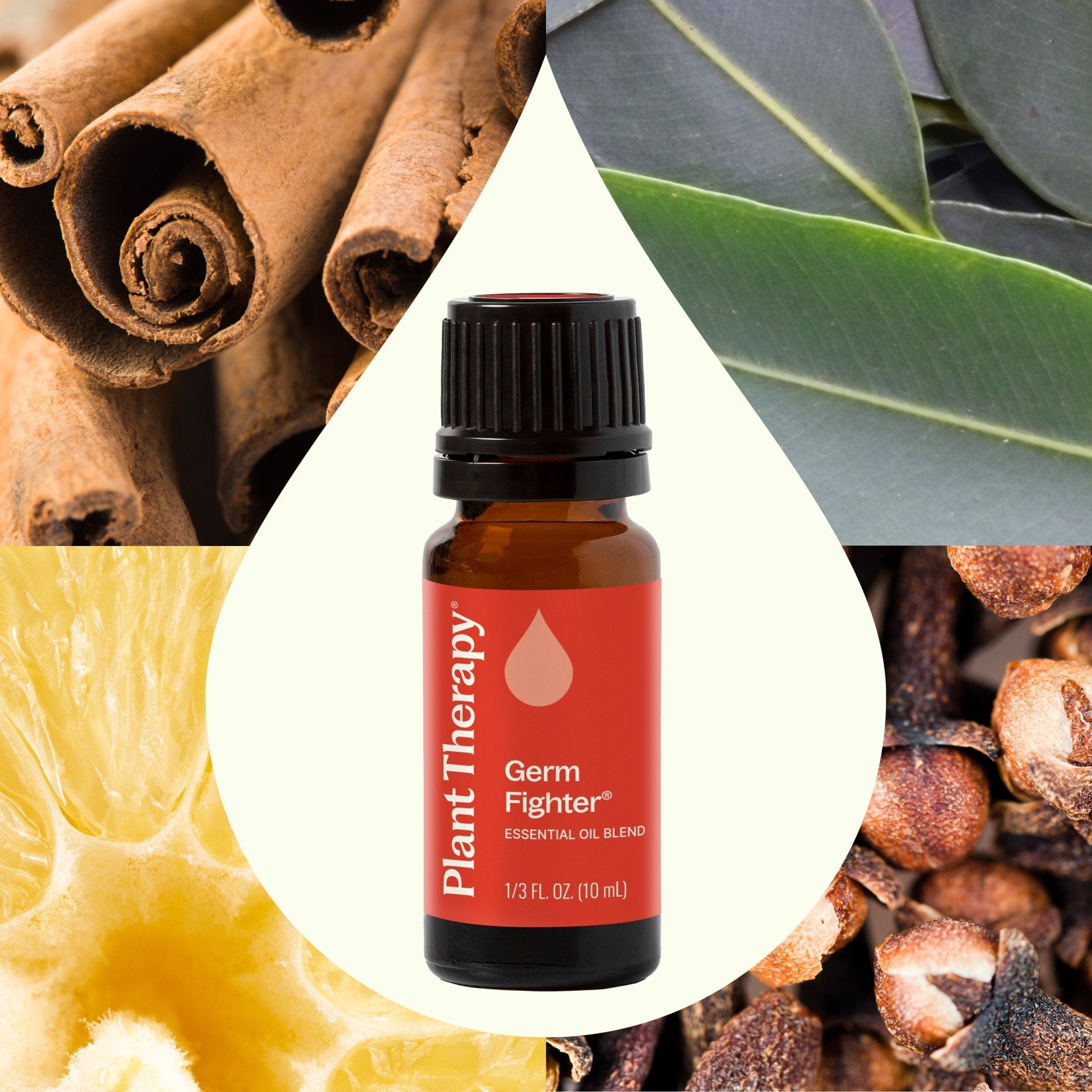 Germ Fighter Essential Oil Blend Plant Therapy