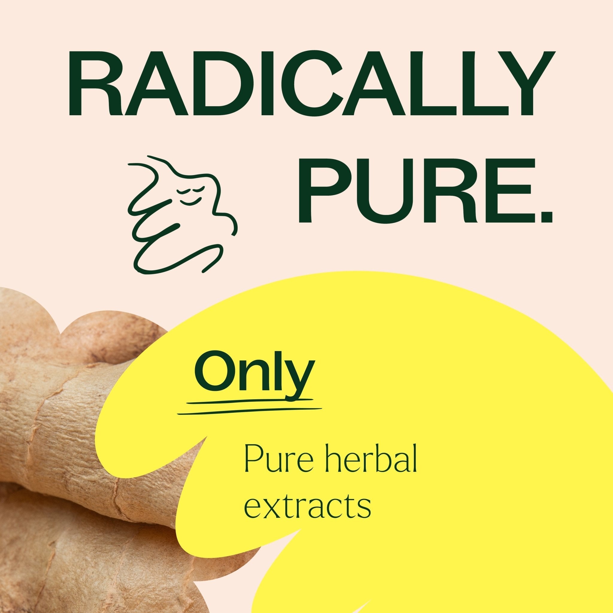 Ginger Root Herbal Supplement - 120 Capsules Plant Therapy