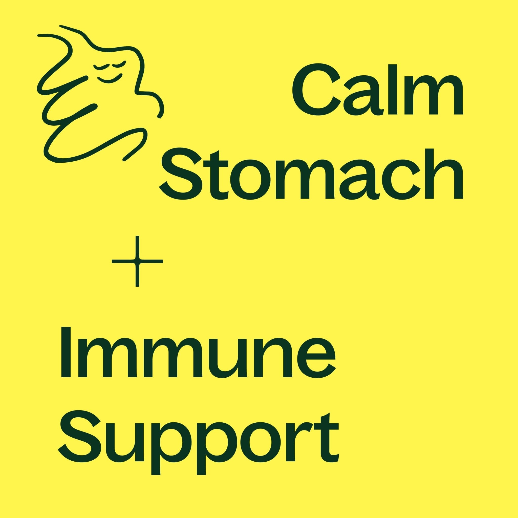 Ginger Root Herbal Supplement - 120 Capsules Plant Therapy