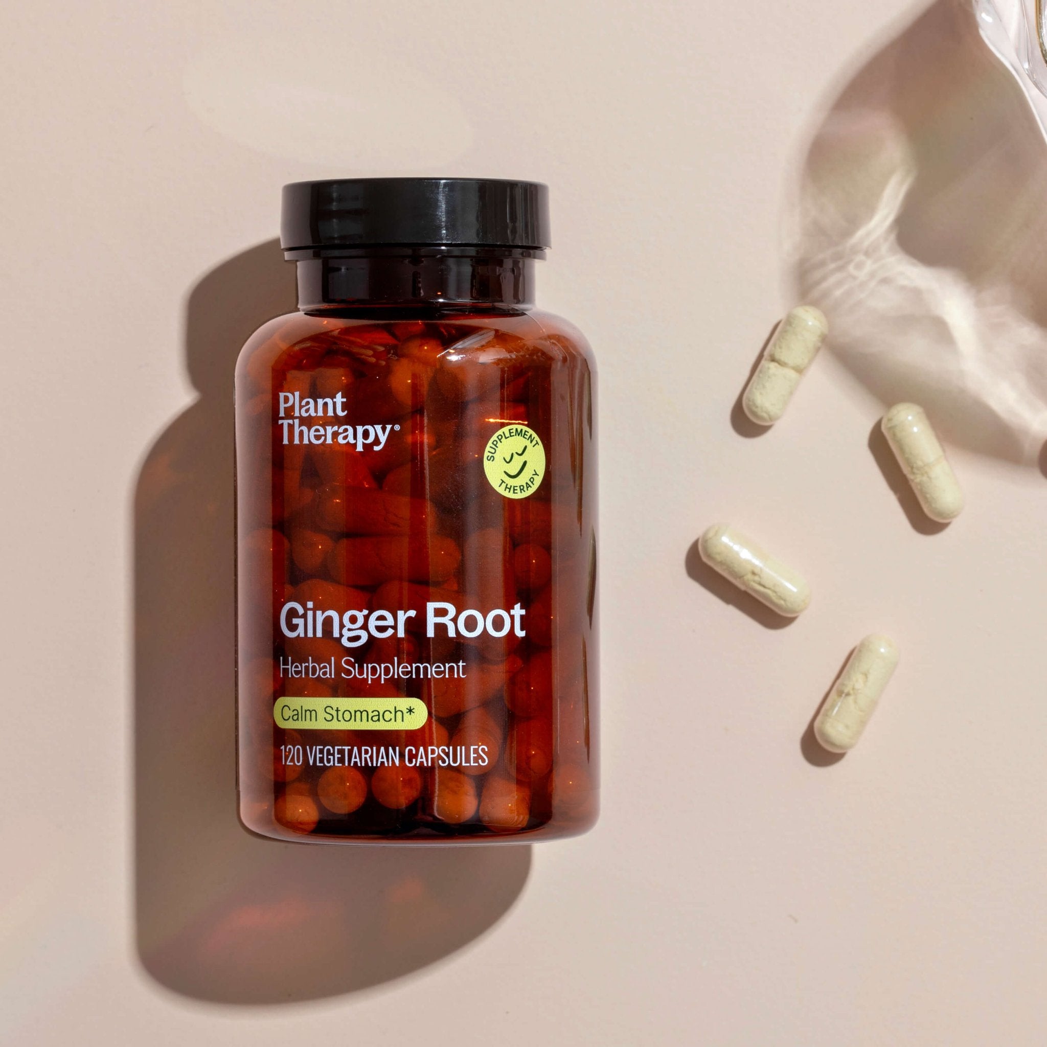 Ginger Root Herbal Supplement - 120 Capsules Plant Therapy